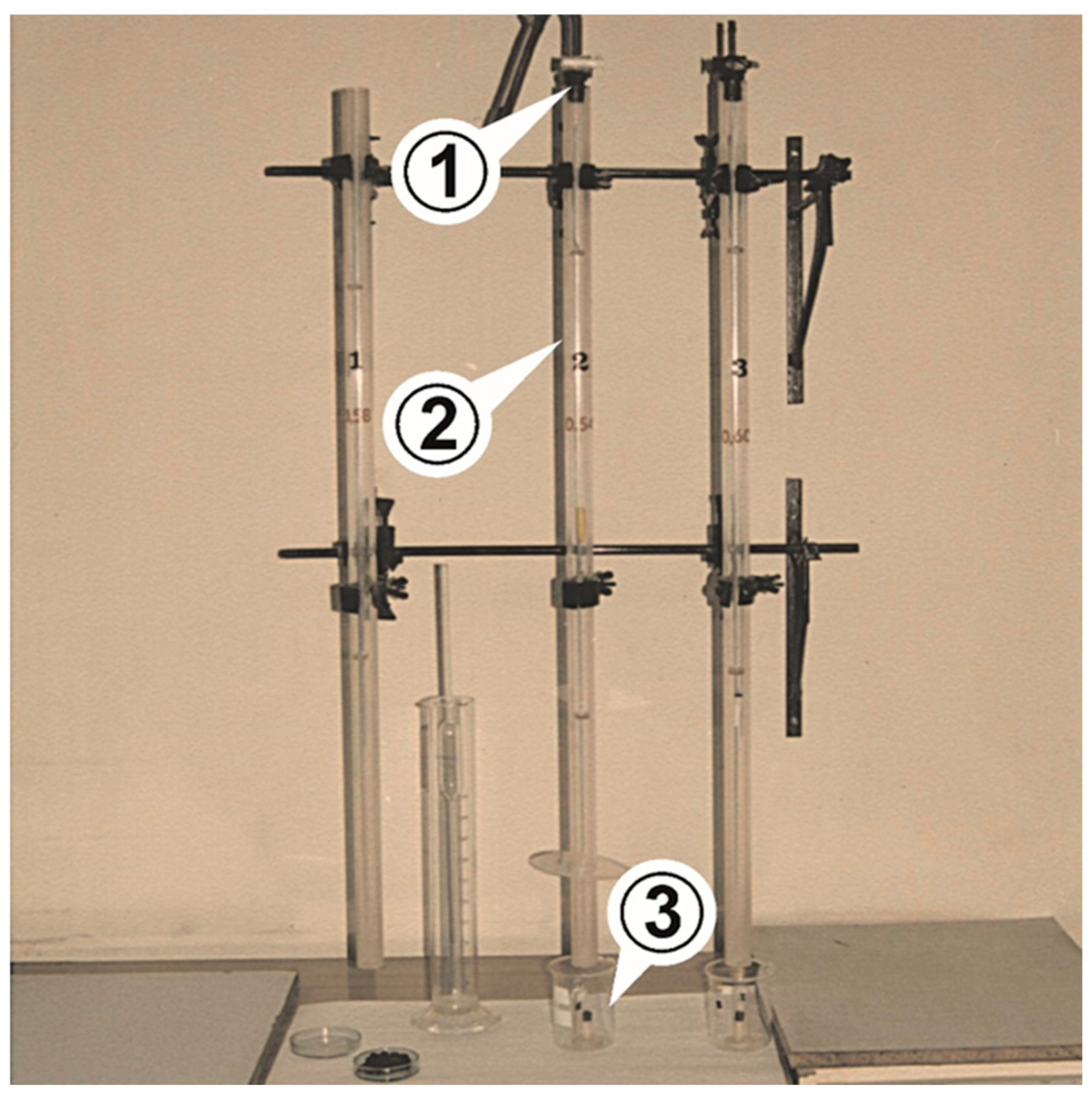 Agronomy 15 02646 g001
