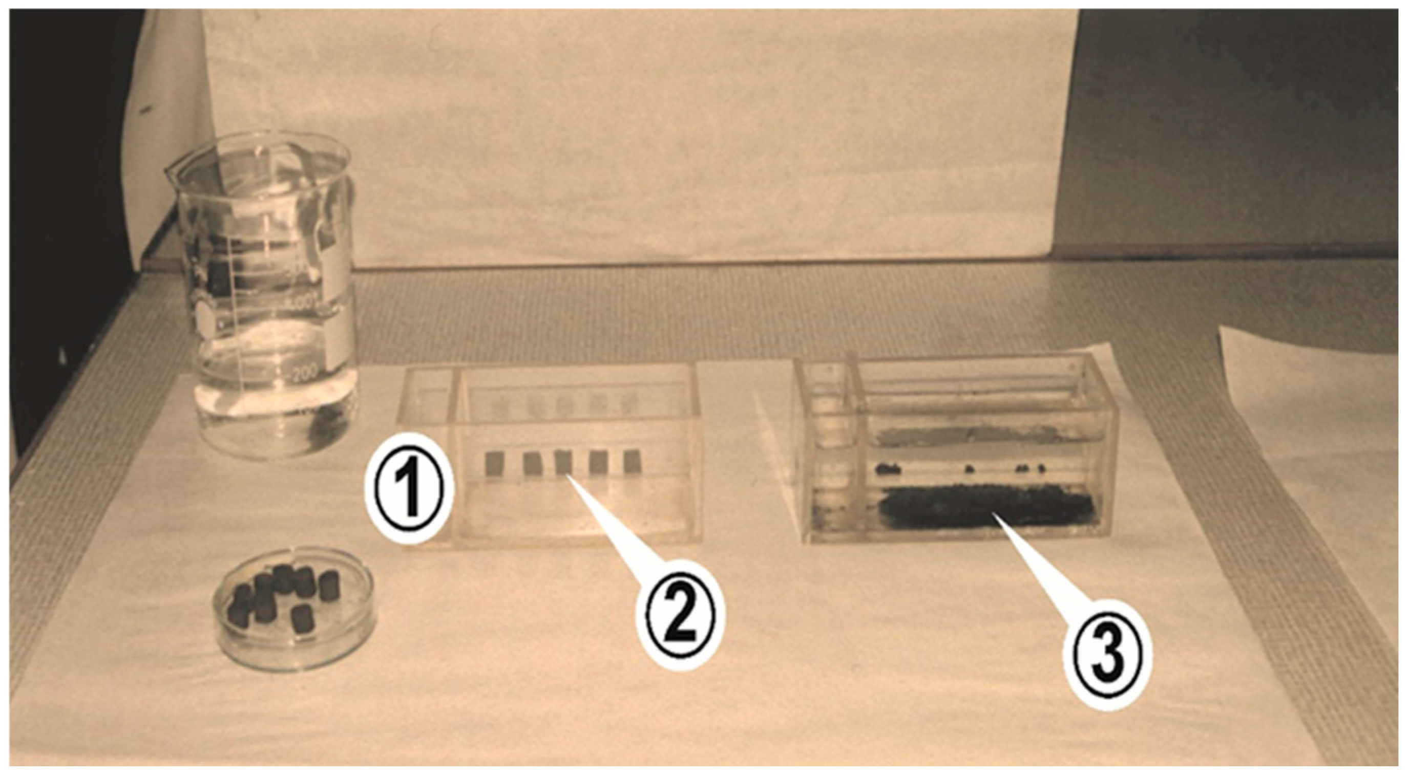 Agronomy 15 02646 g002