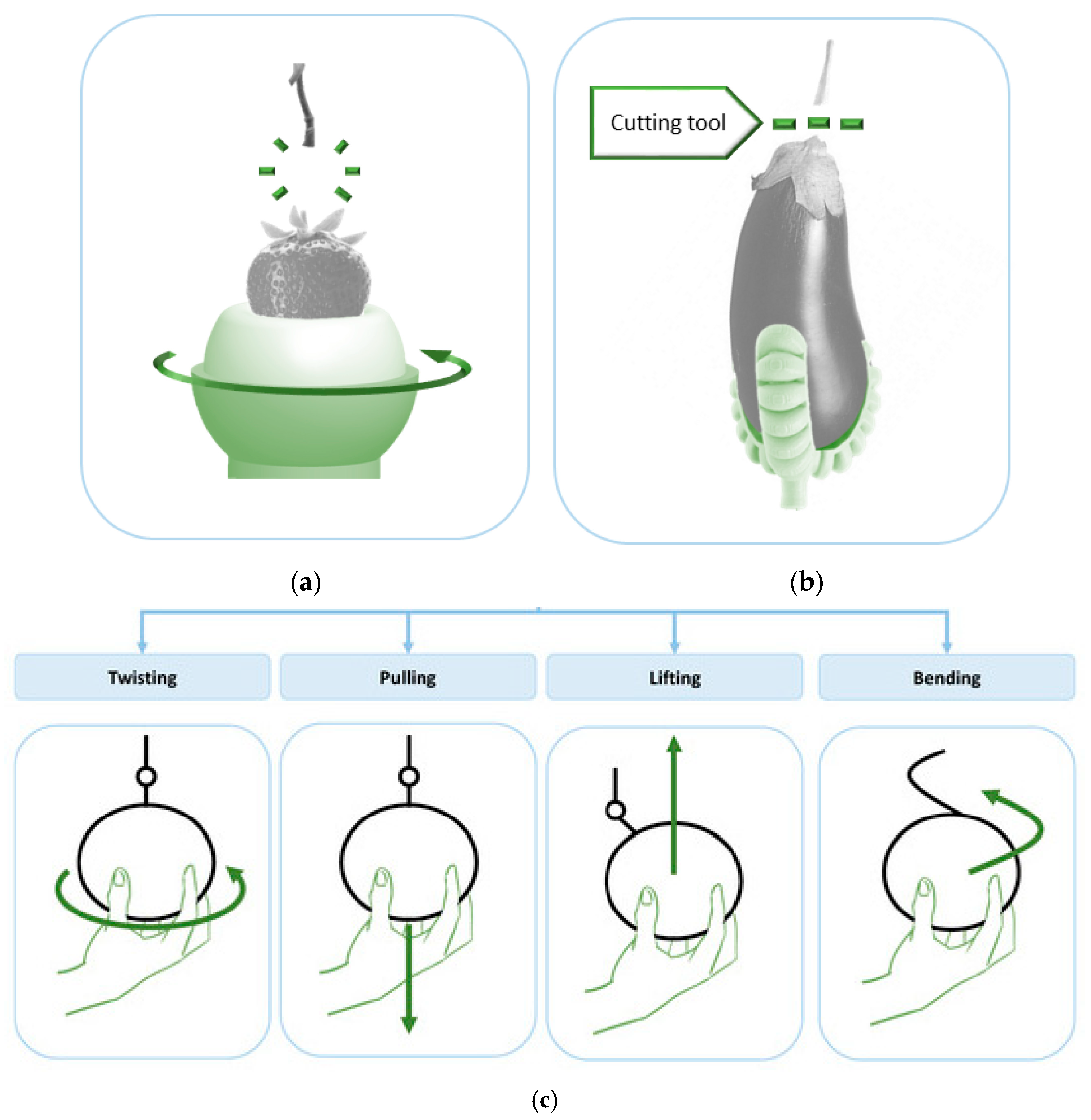Agronomy 15 02650 g004