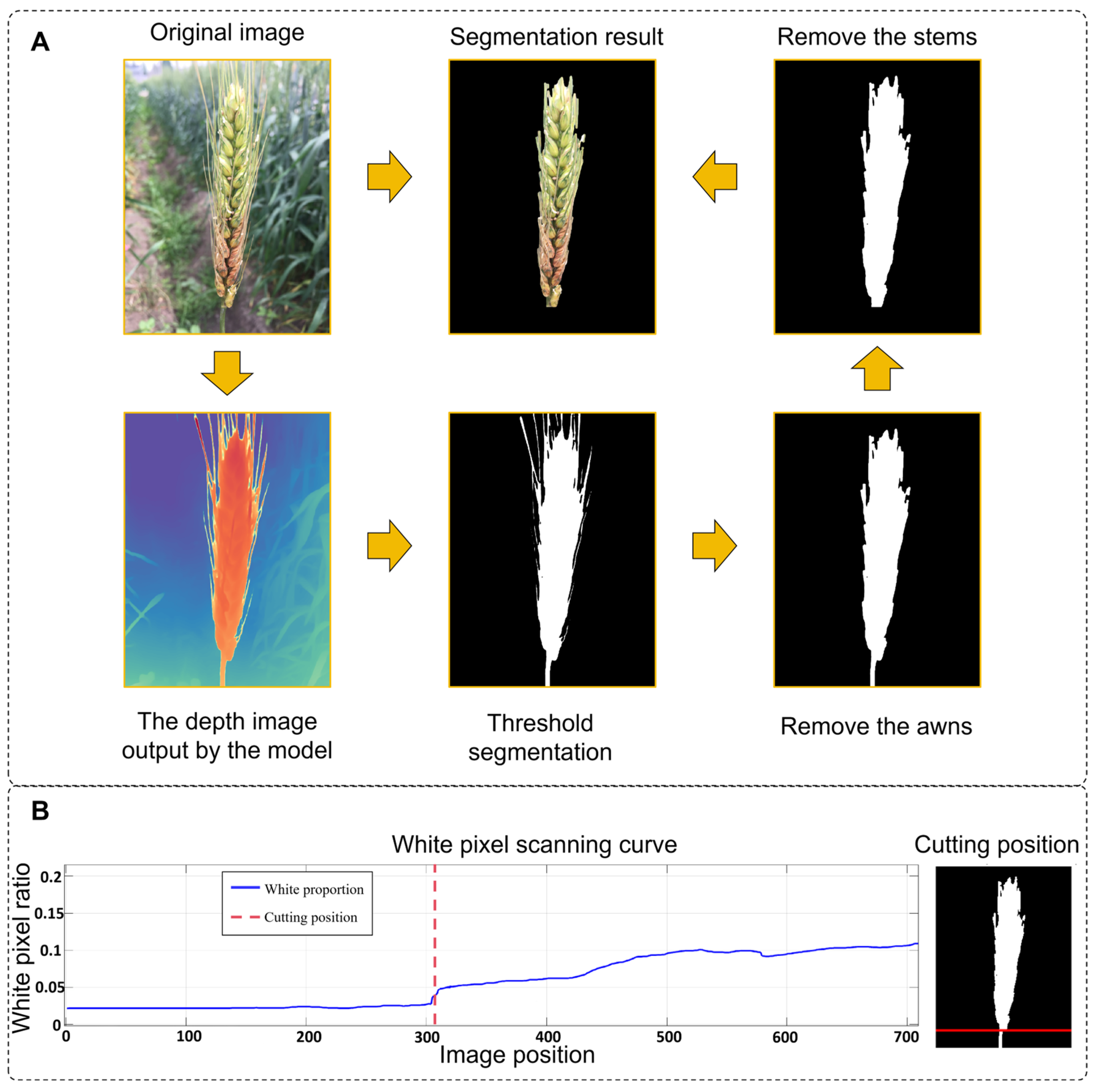 Agronomy 15 02651 g003