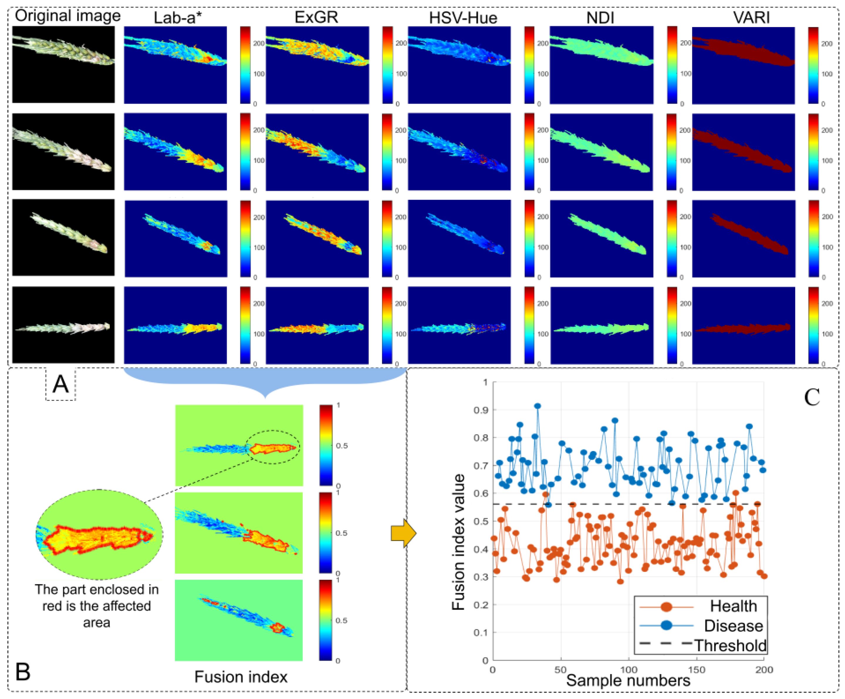 Agronomy 15 02651 g006