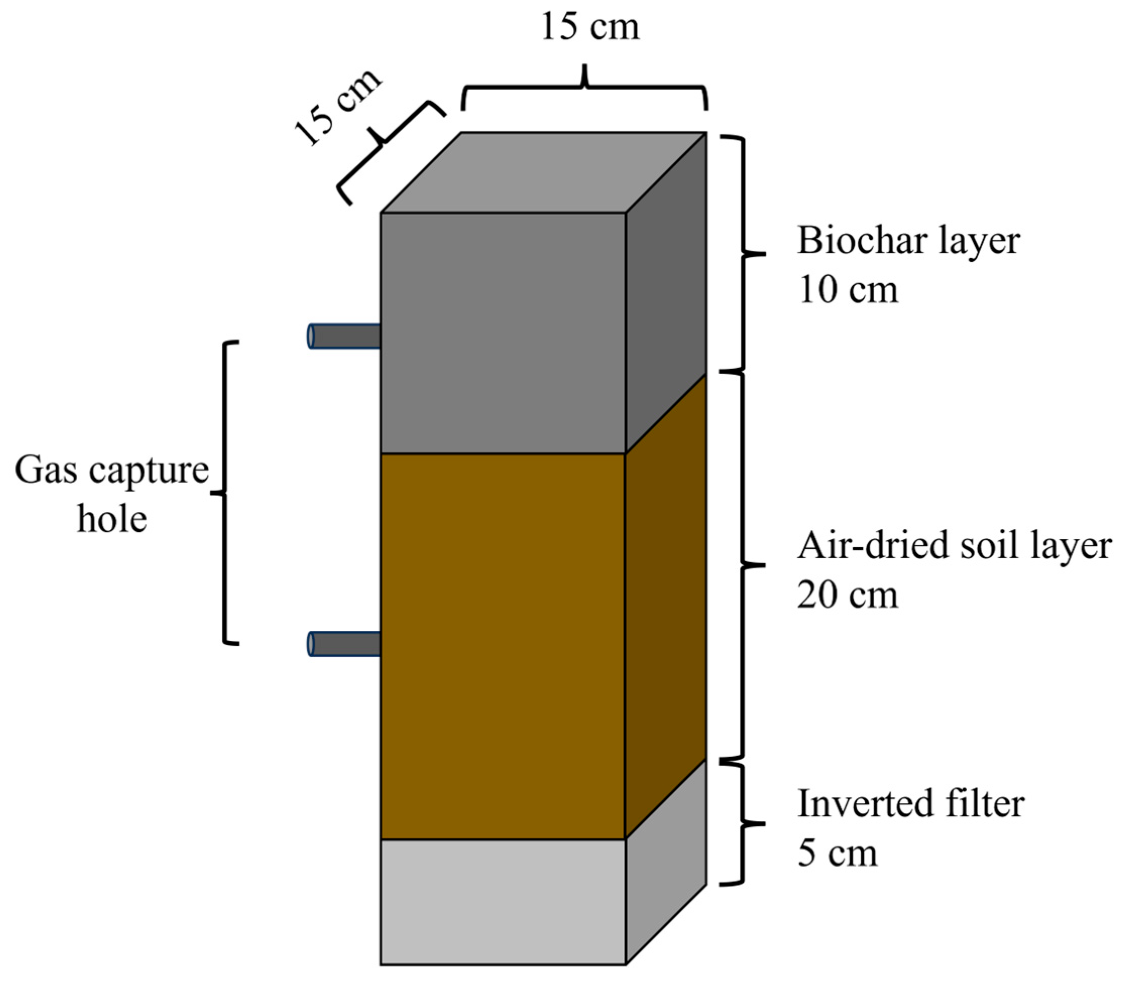Agronomy 15 02655 g001