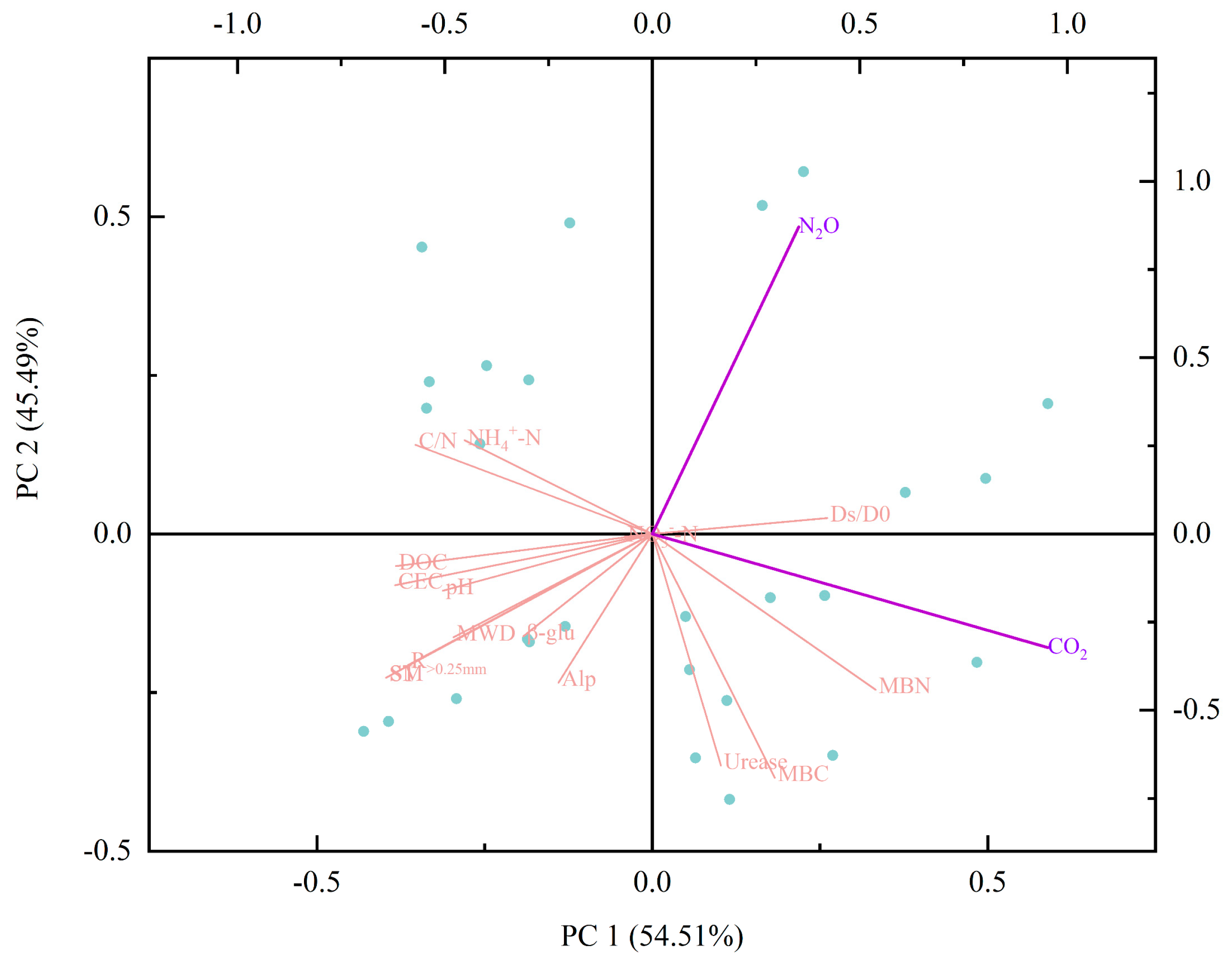 Agronomy 15 02655 g009