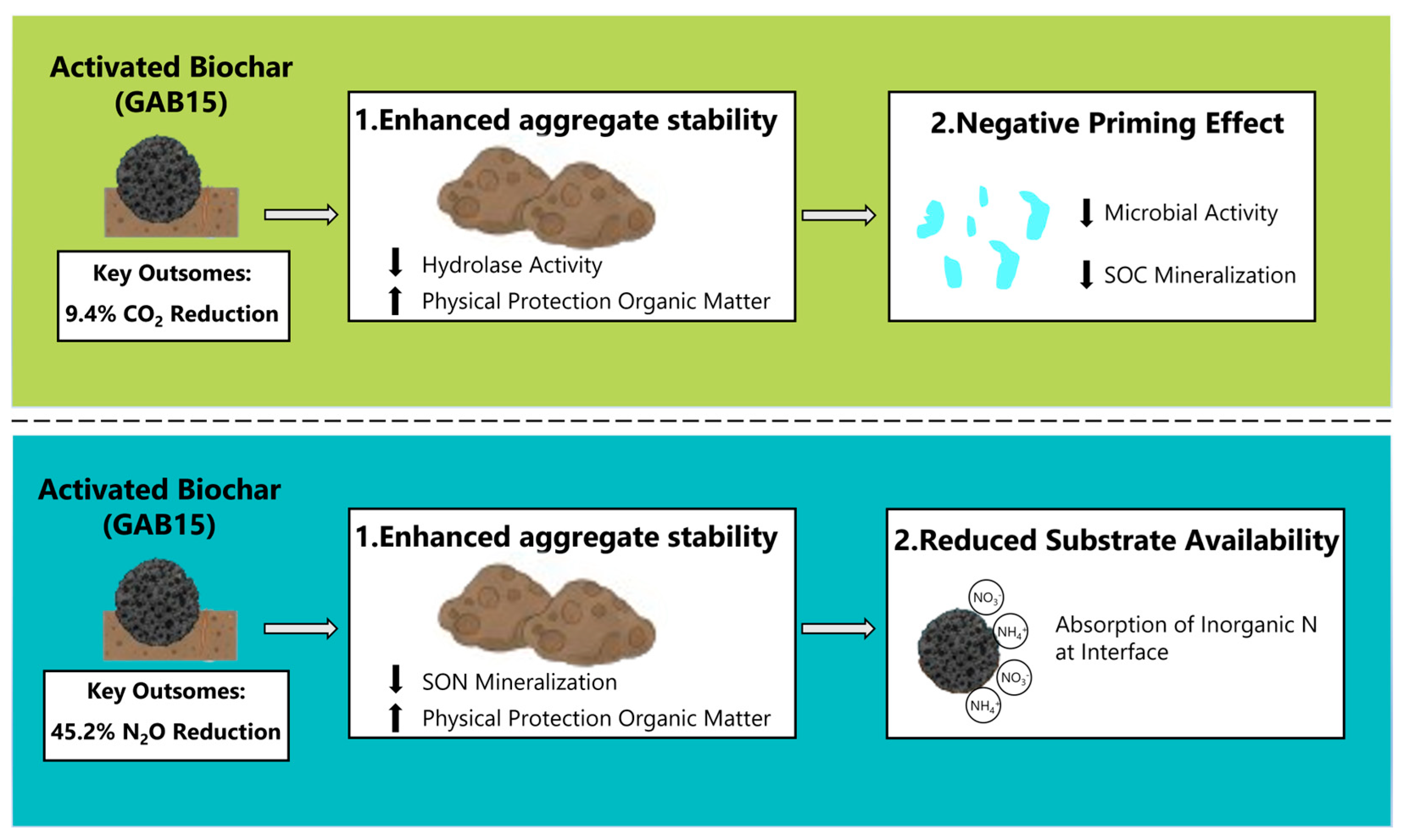 Agronomy 15 02655 g011