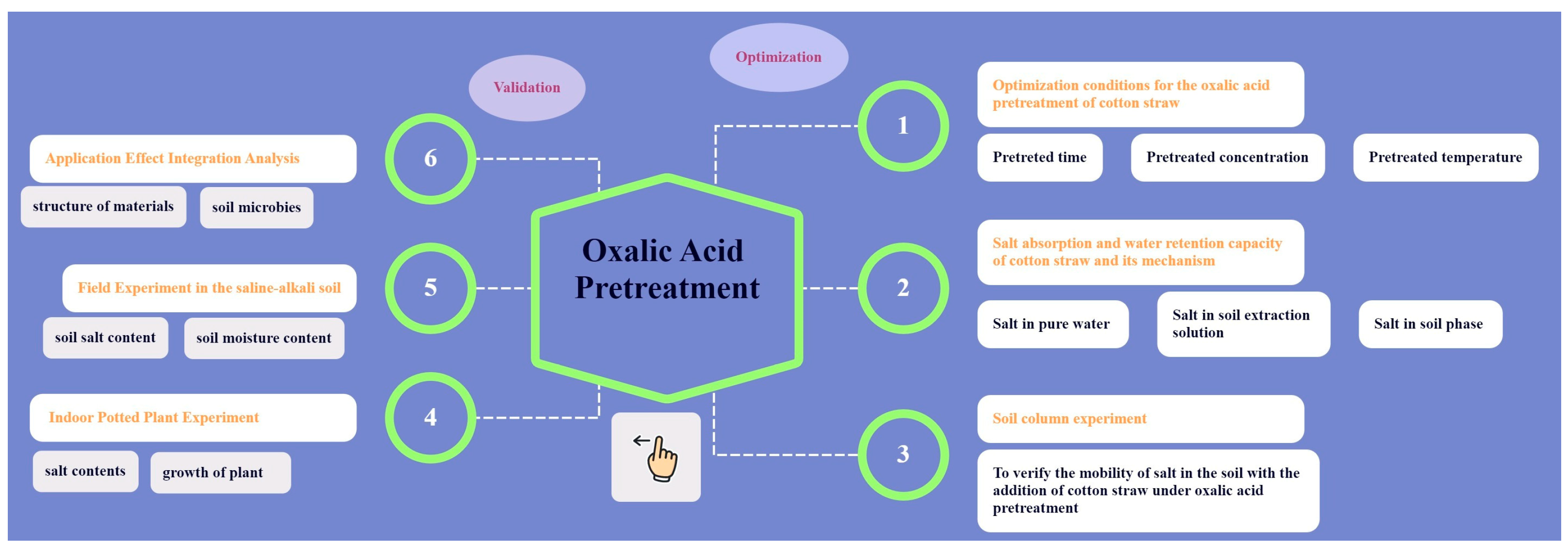 Agronomy 15 02657 g001