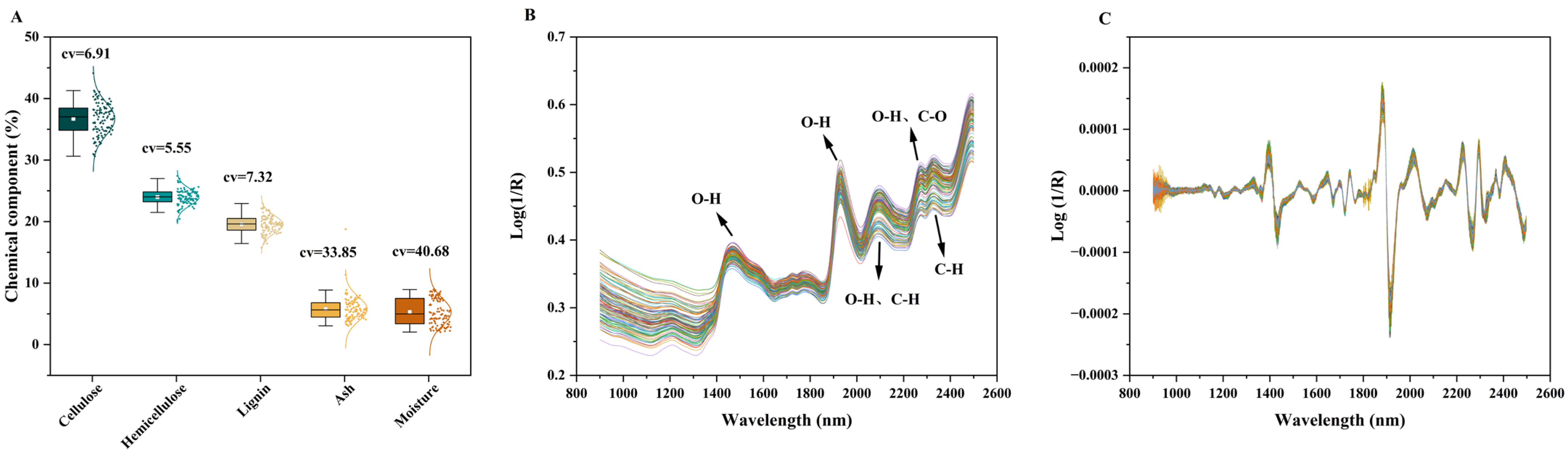 Agronomy 15 02659 g001