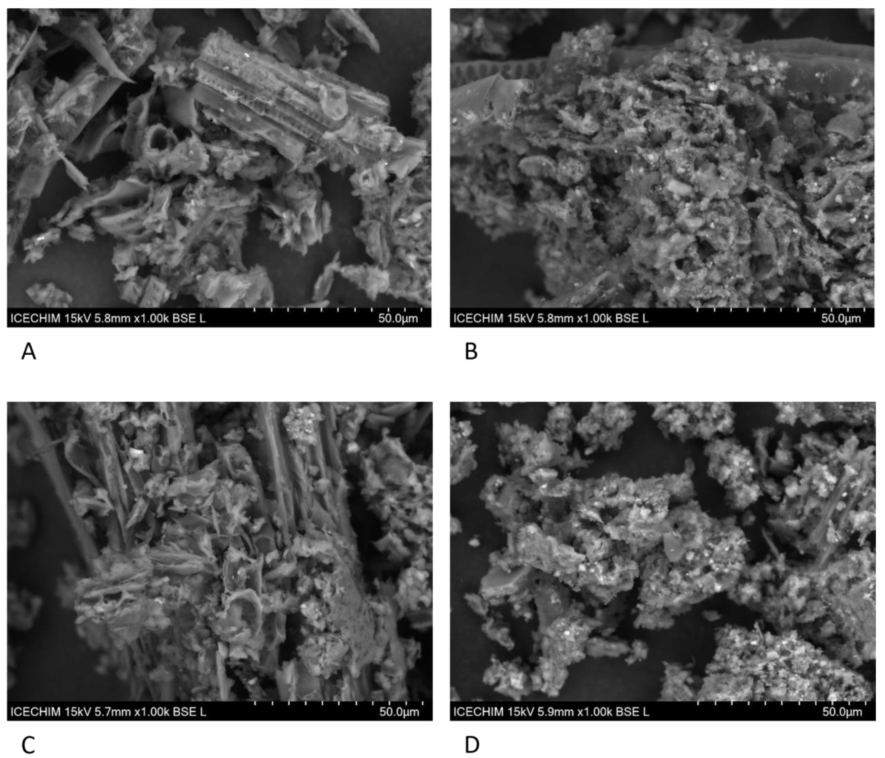 Agronomy 15 02663 g007