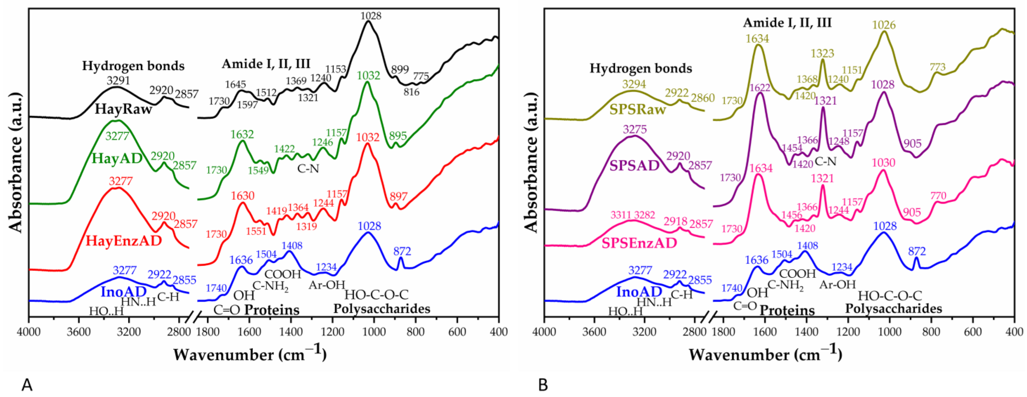 Agronomy 15 02663 g010