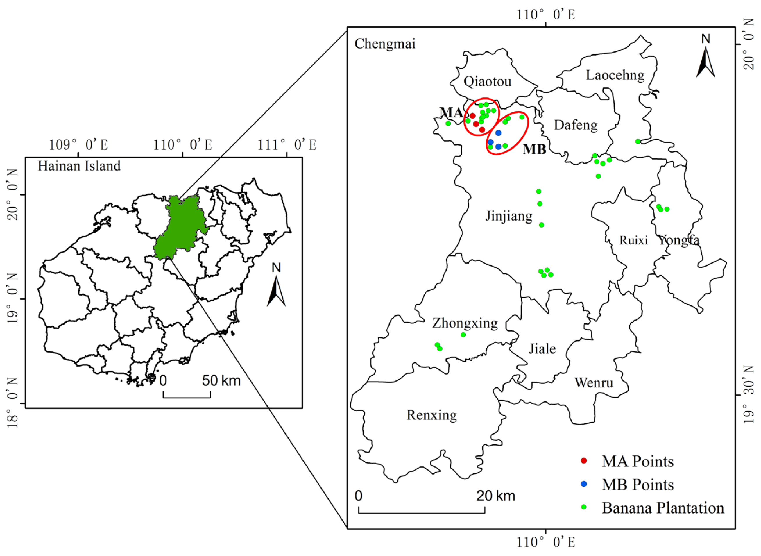 Agronomy 15 02676 g001