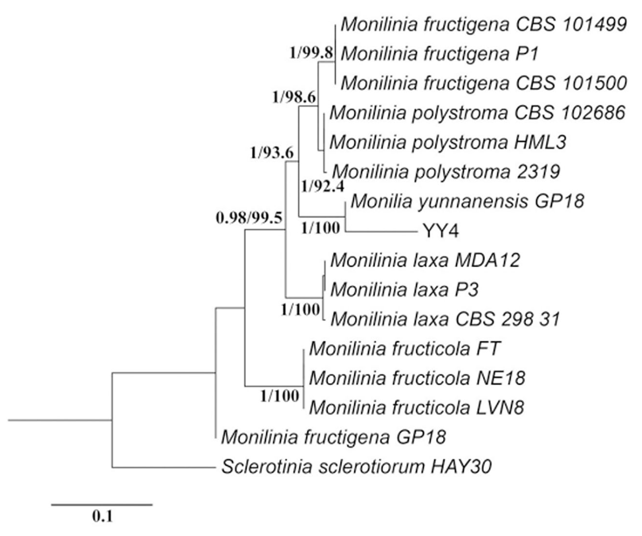Agronomy 15 02678 g004