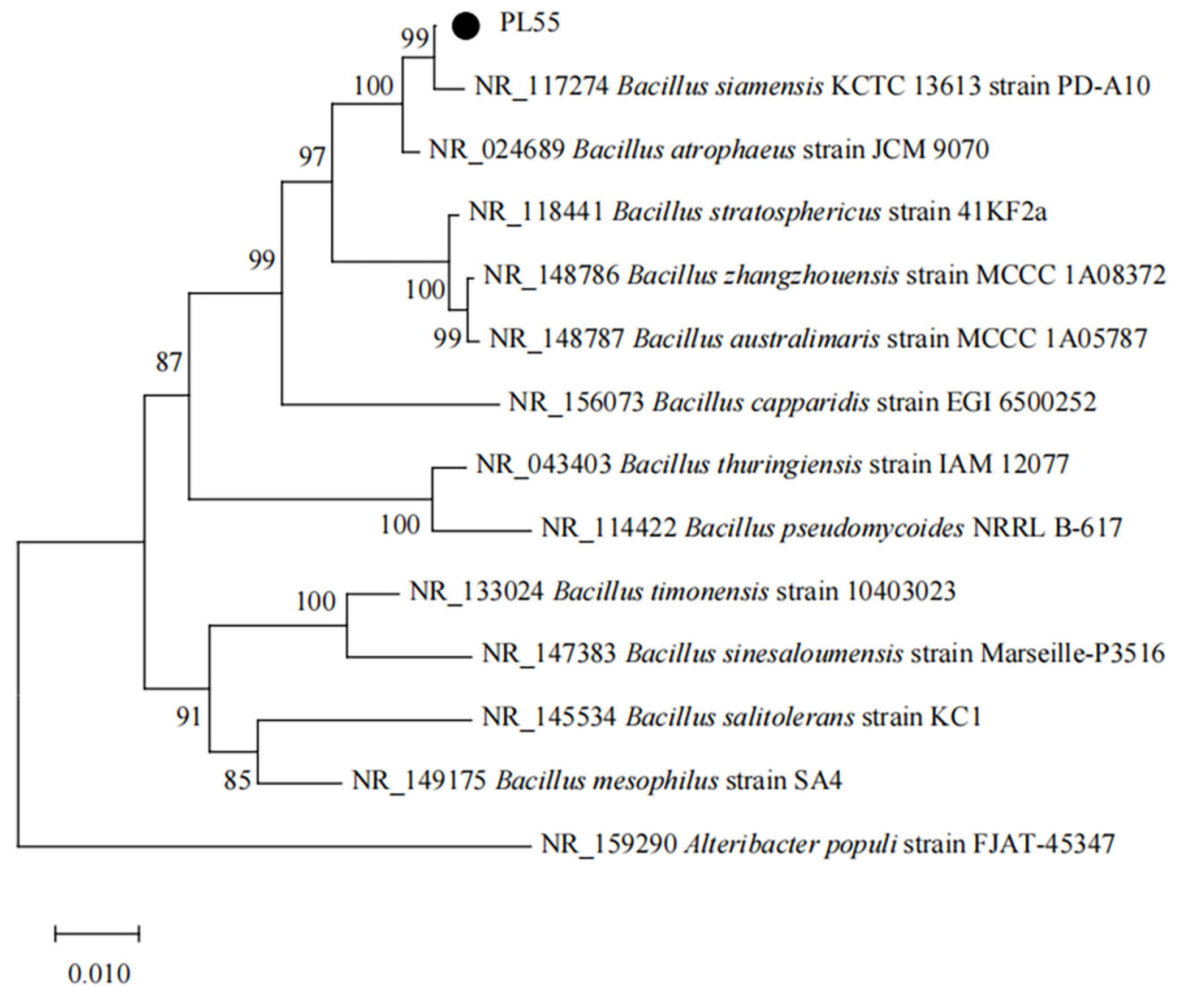 Agronomy 15 02678 g007