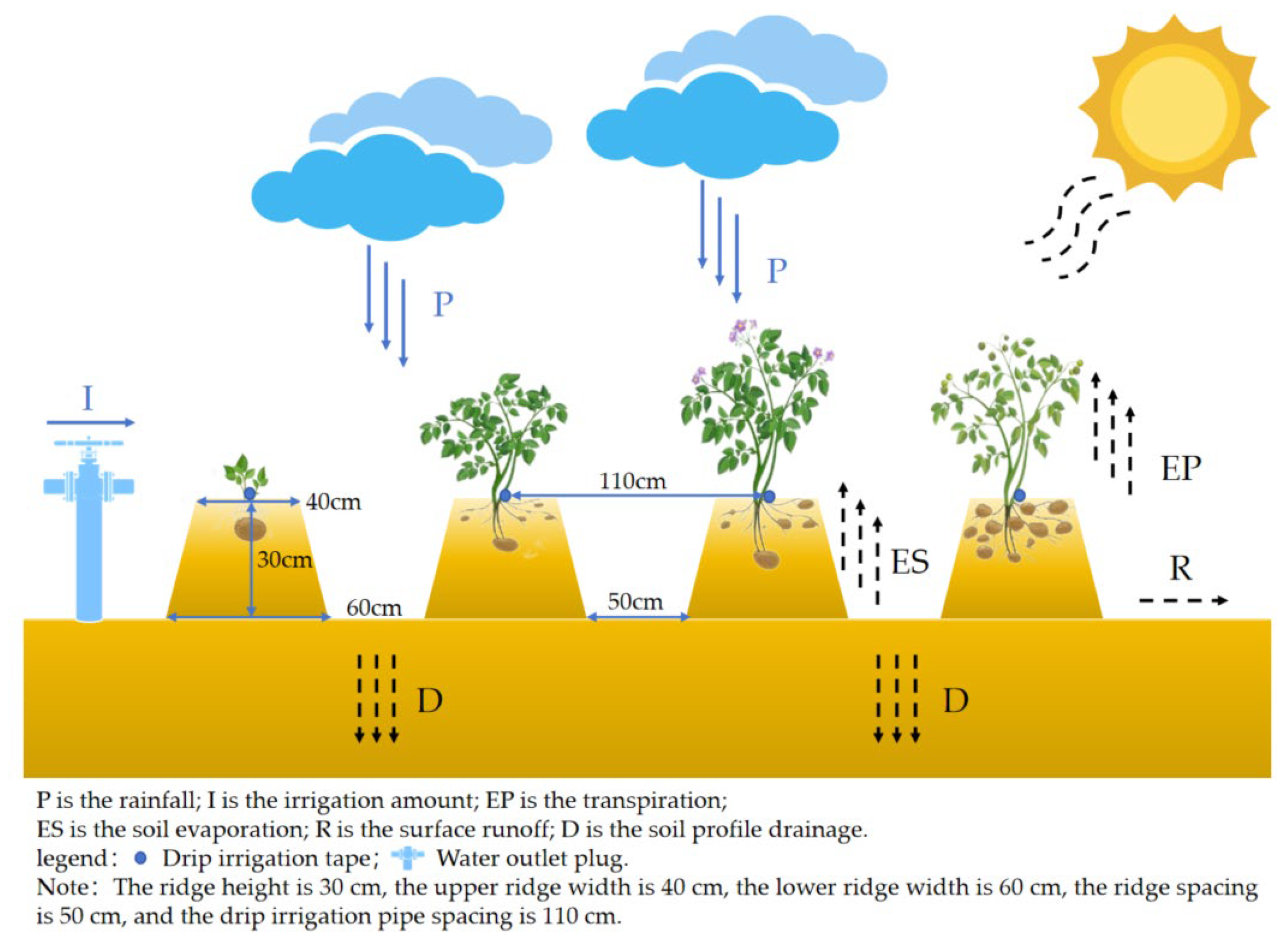 Agronomy 15 02685 g003