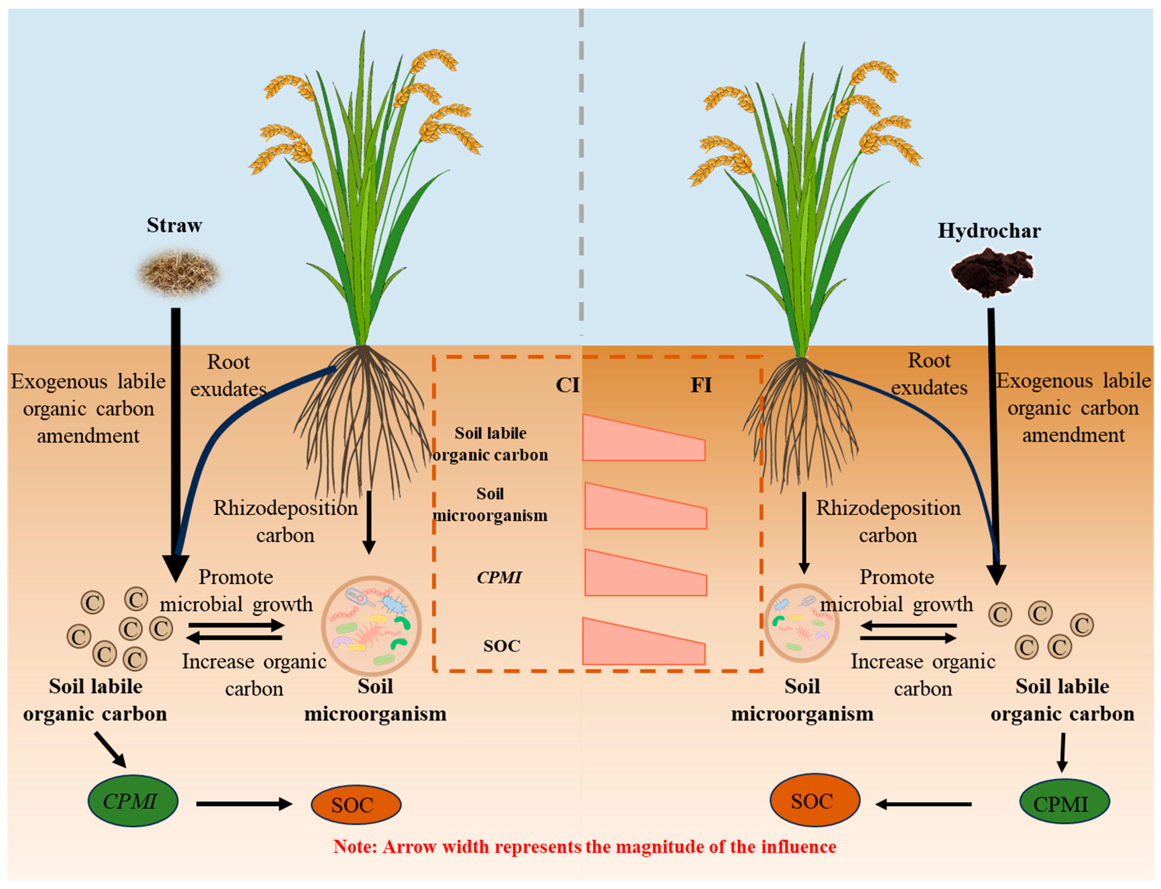 Agronomy 15 02686 g004 Agronomy 15 02686 g004