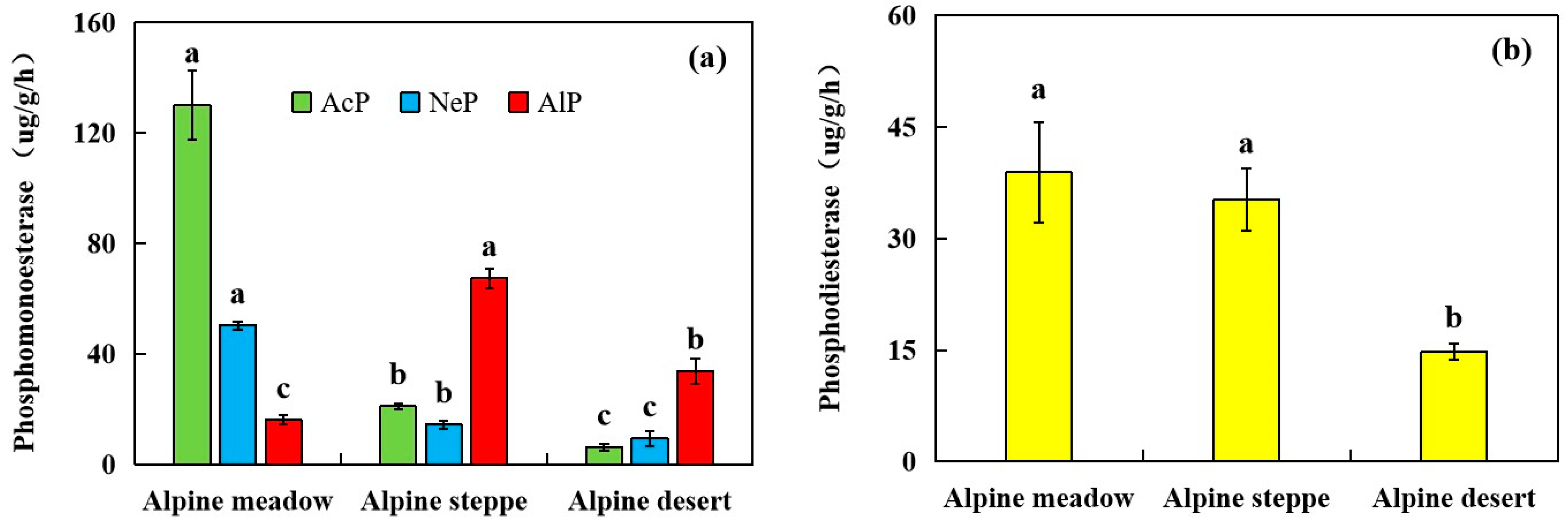 Agronomy 15 02689 g005