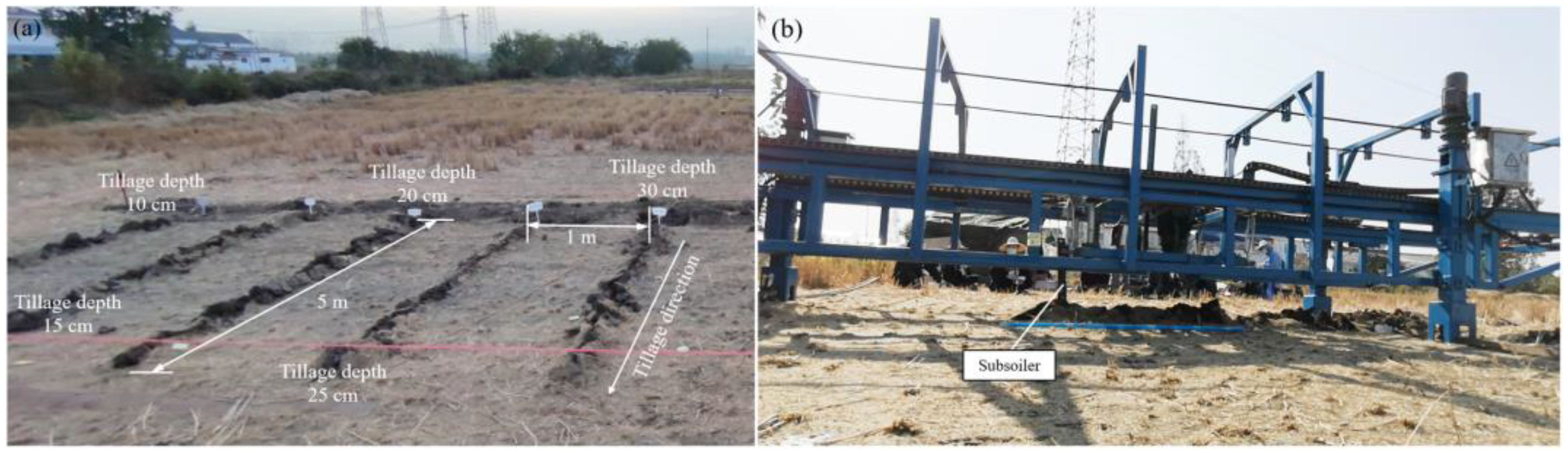 Agronomy 15 02695 g002