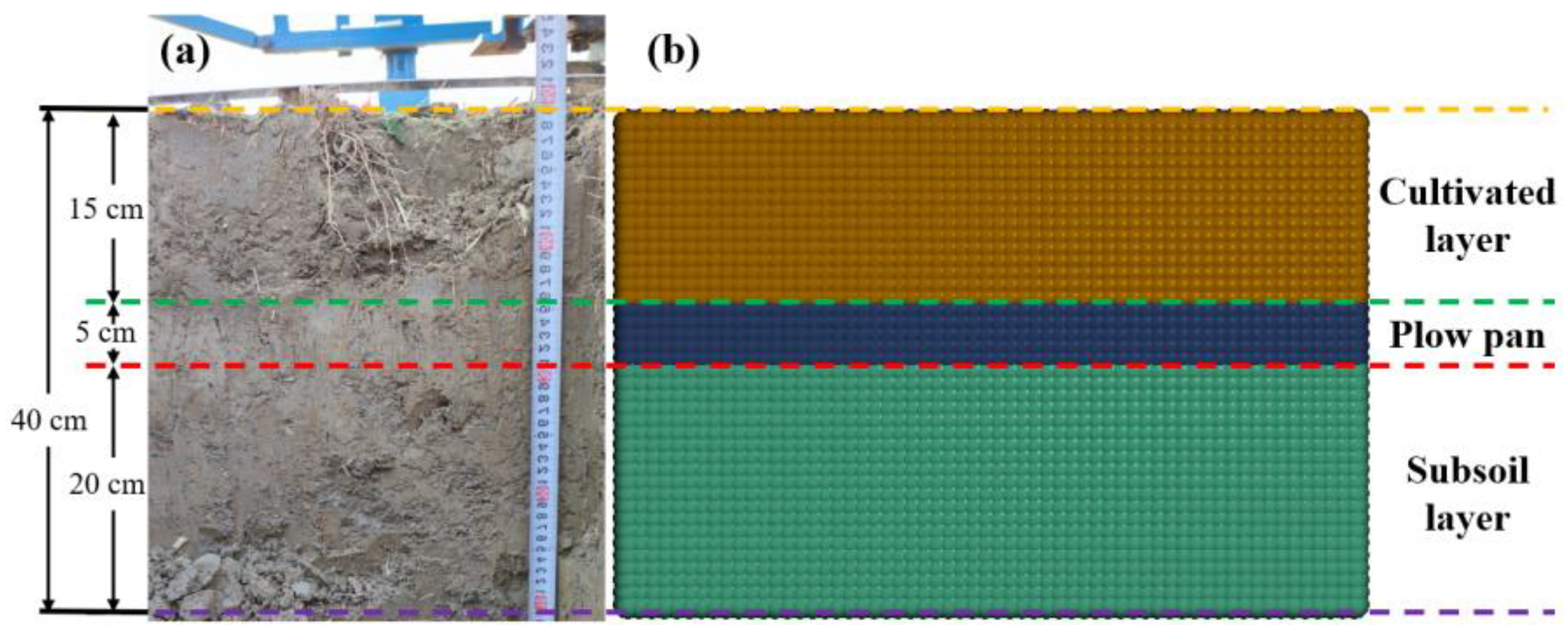 Agronomy 15 02695 g004