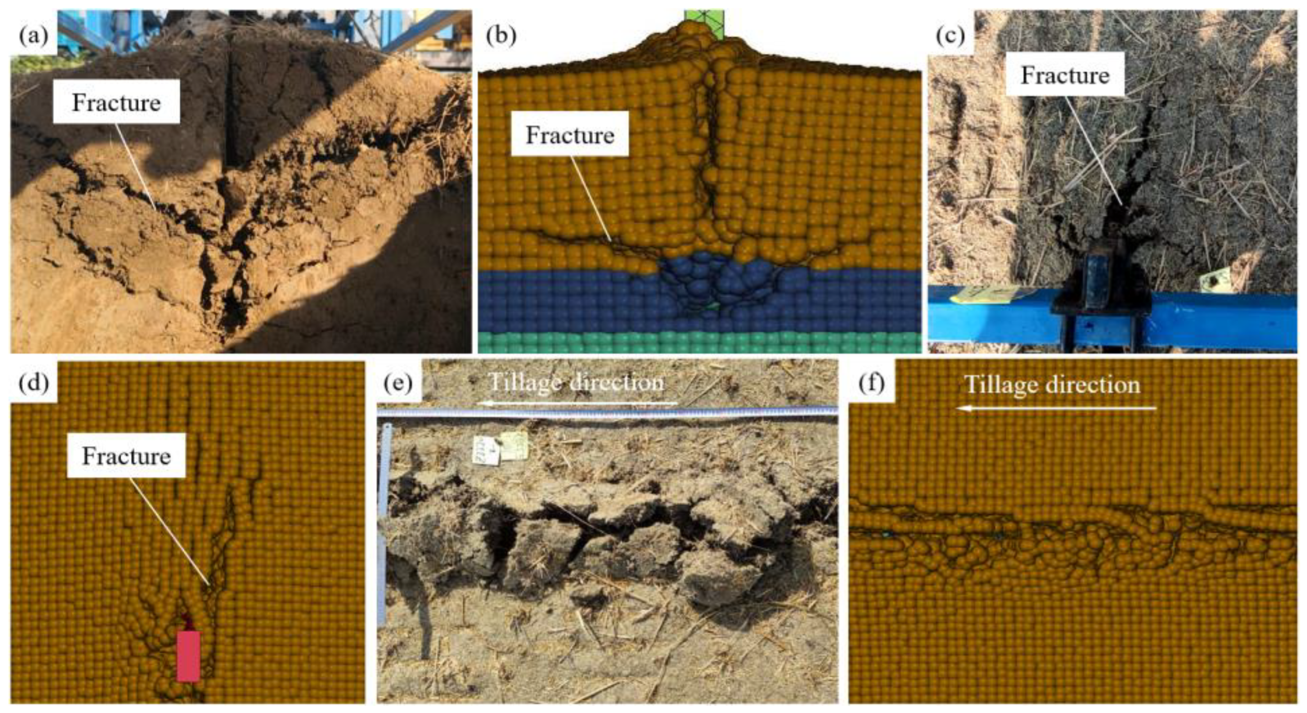 Agronomy 15 02695 g017