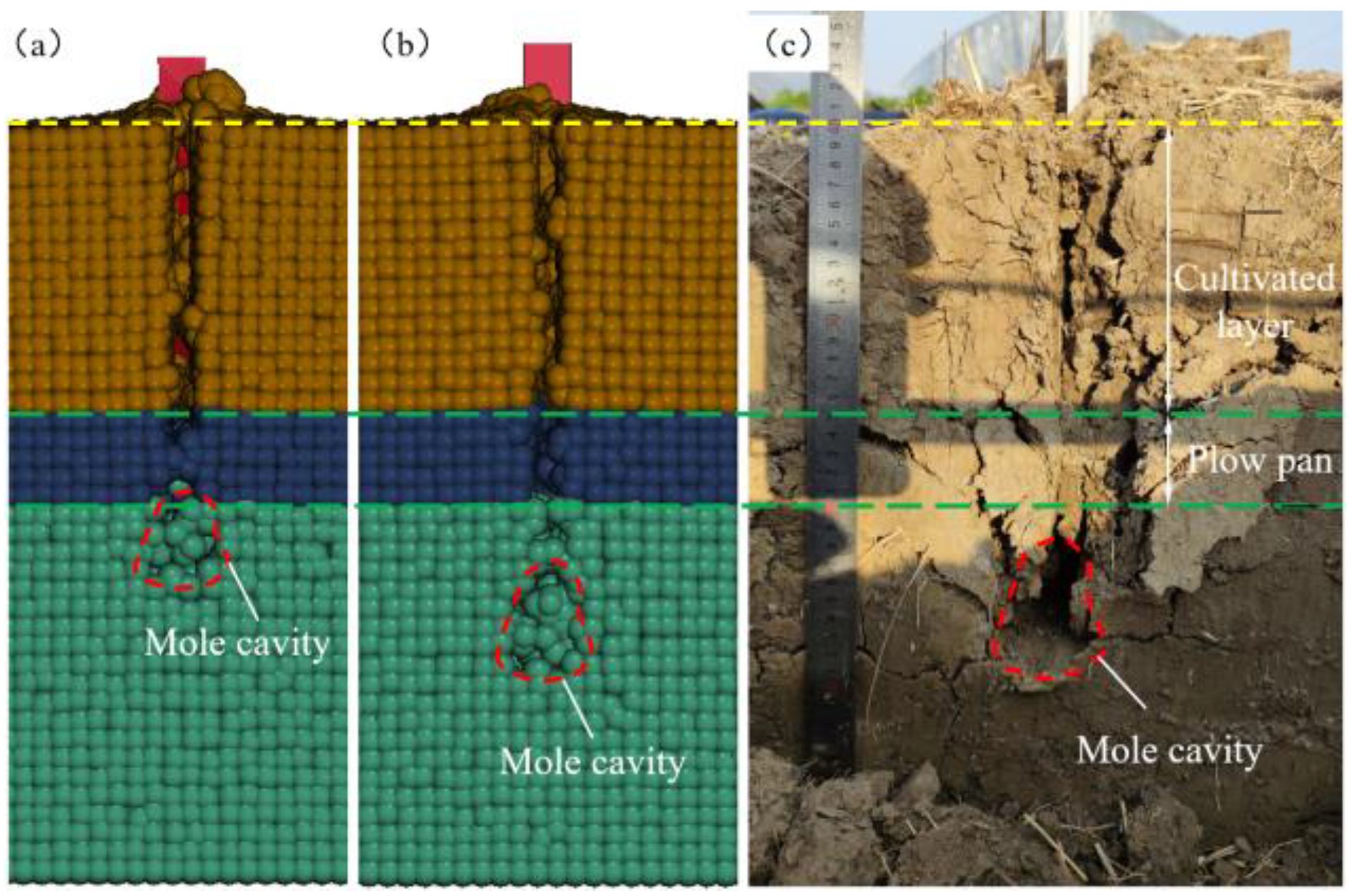 Agronomy 15 02695 g018