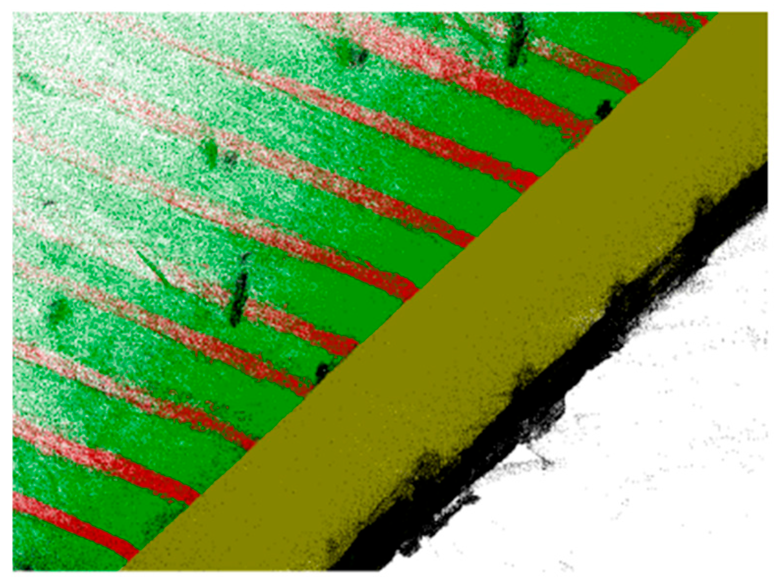 Agronomy 15 02696 g011