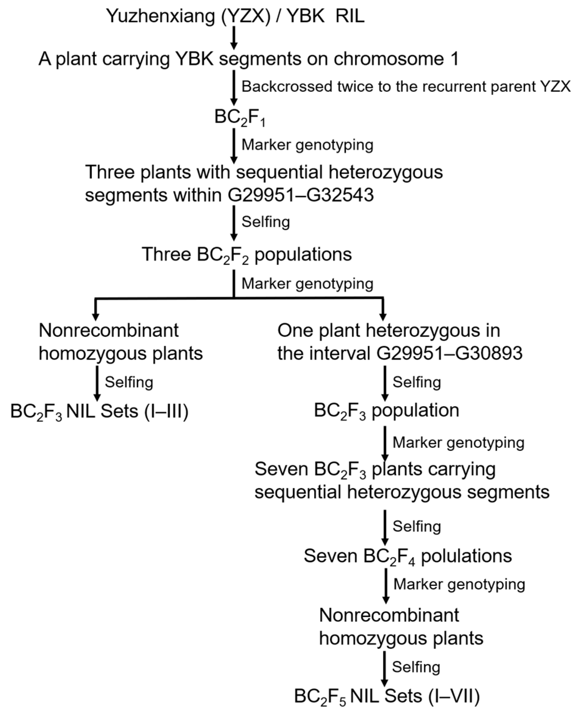 Agronomy 15 02699 g001