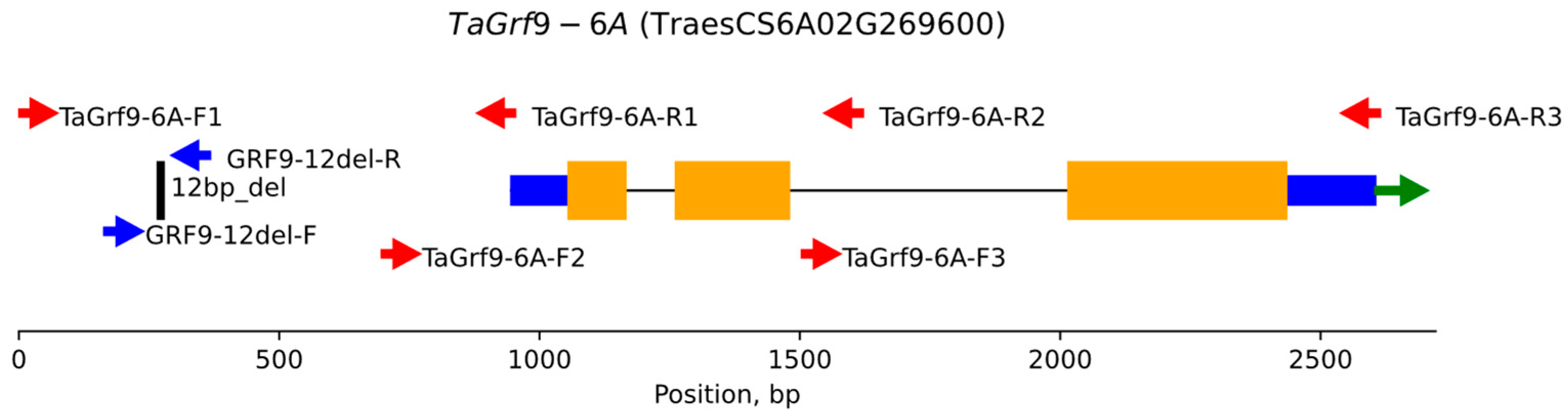 Agronomy 15 02701 g001
