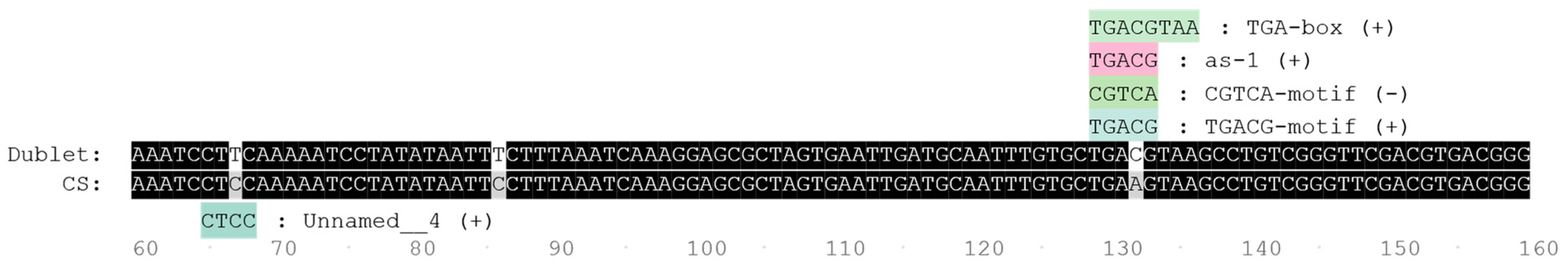 Agronomy 15 02701 g003