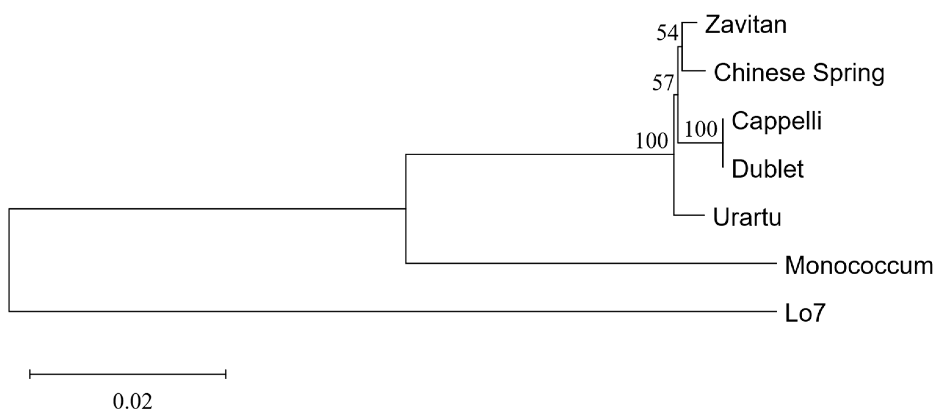 Agronomy 15 02701 g004