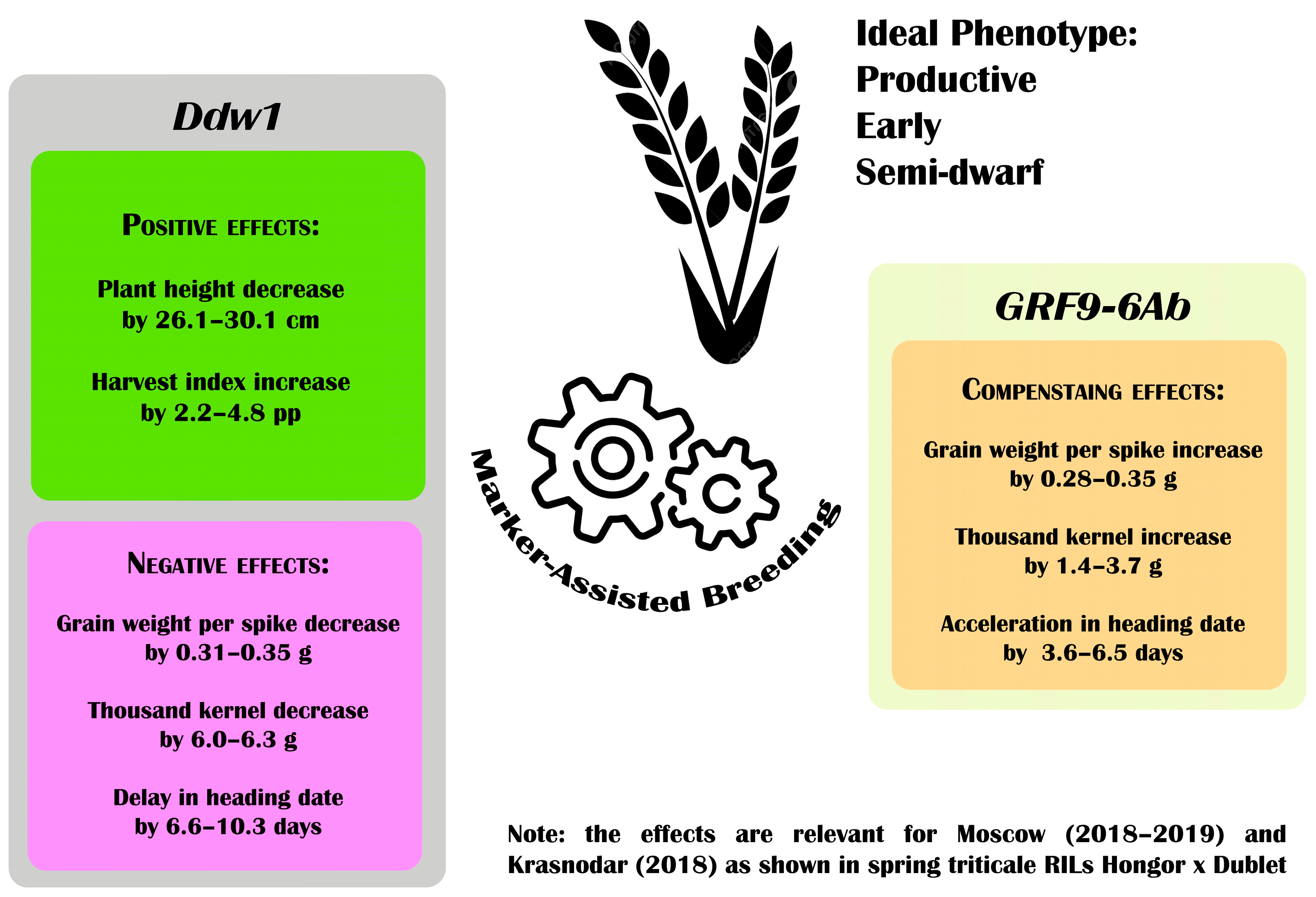 Agronomy 15 02701 g006