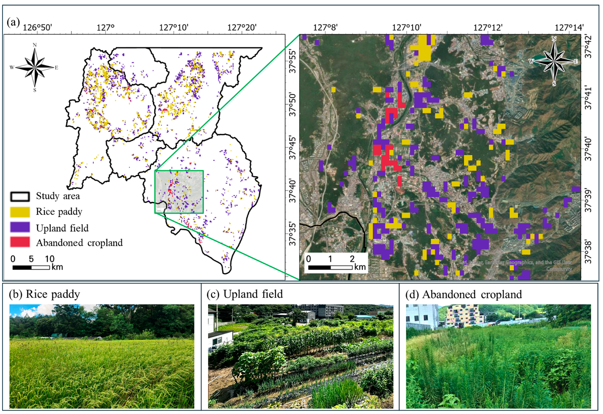 Agronomy 15 02702 g004