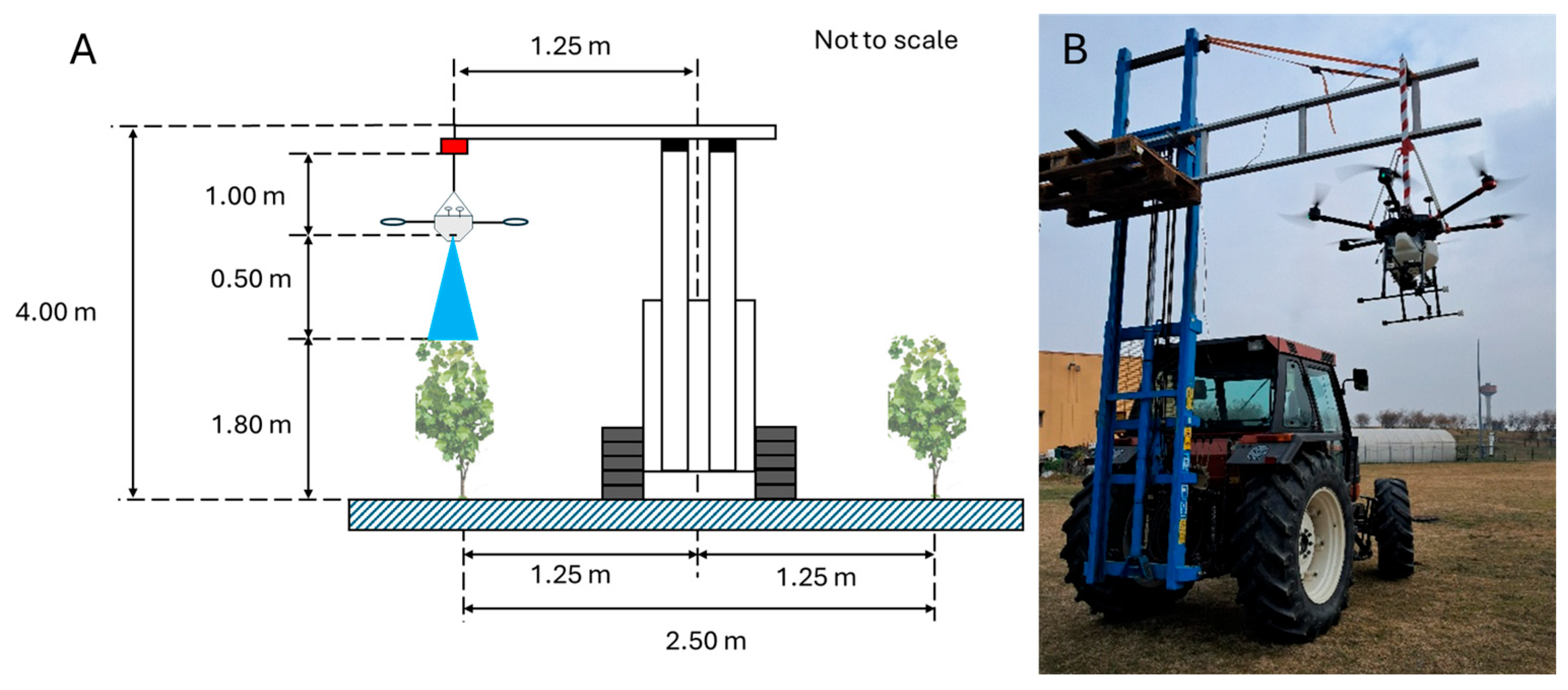 Agronomy 15 02703 g002 Agronomy 15 02703 g002