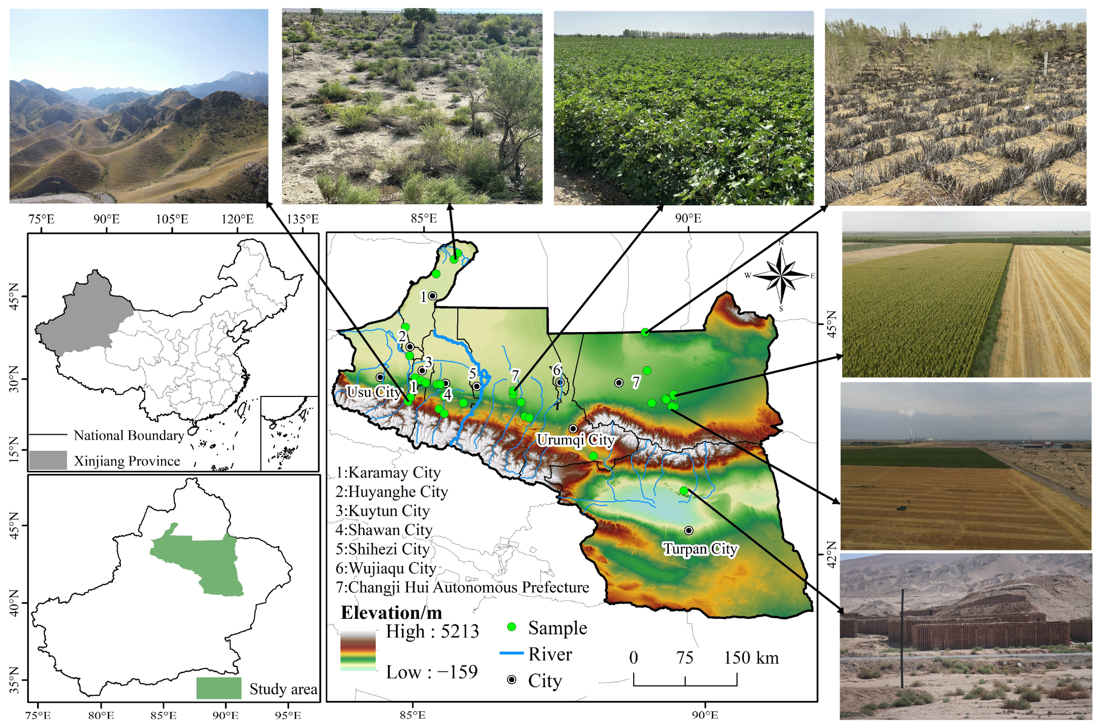 Agronomy 15 02704 g001