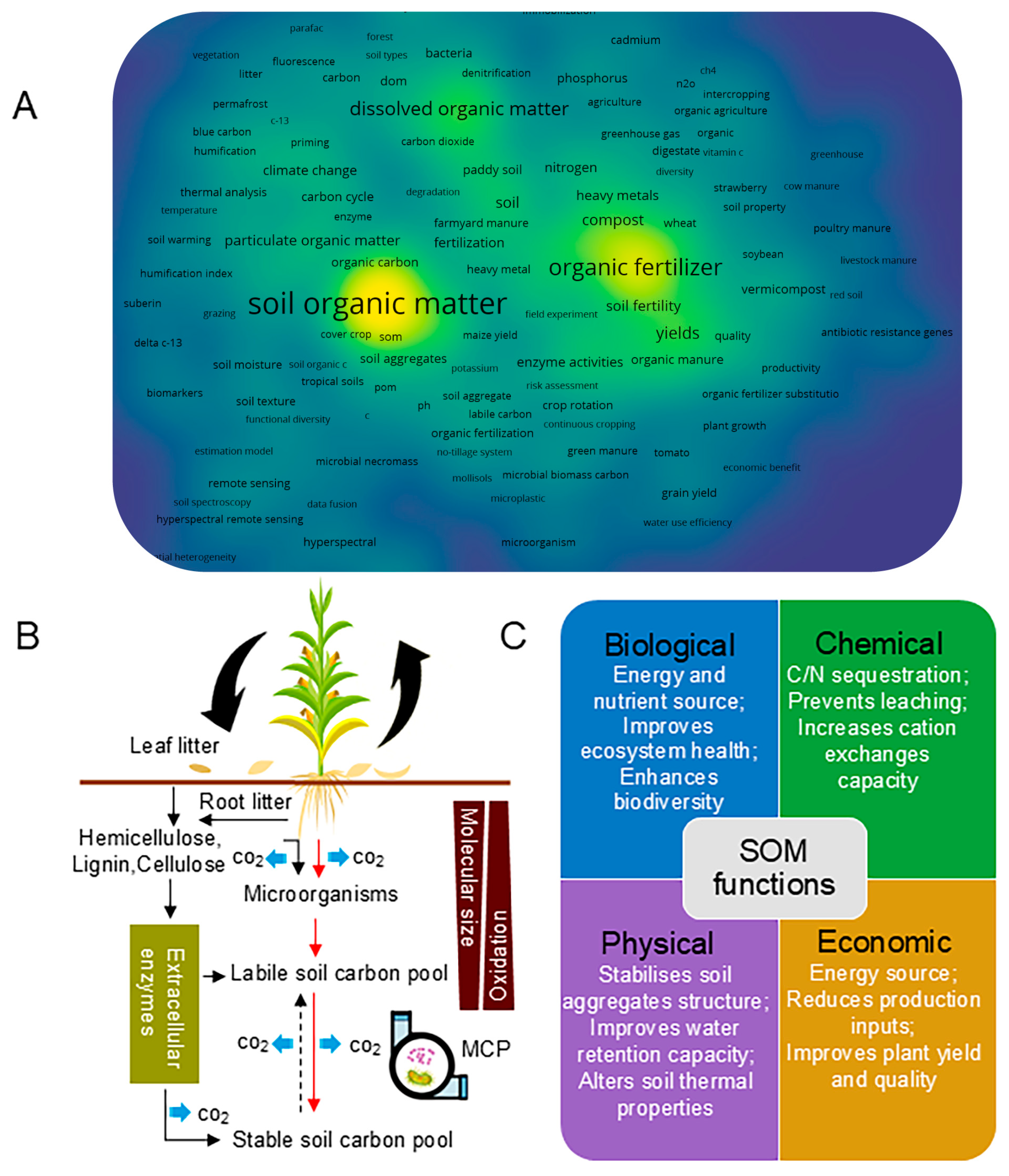 Agronomy 15 02705 g001