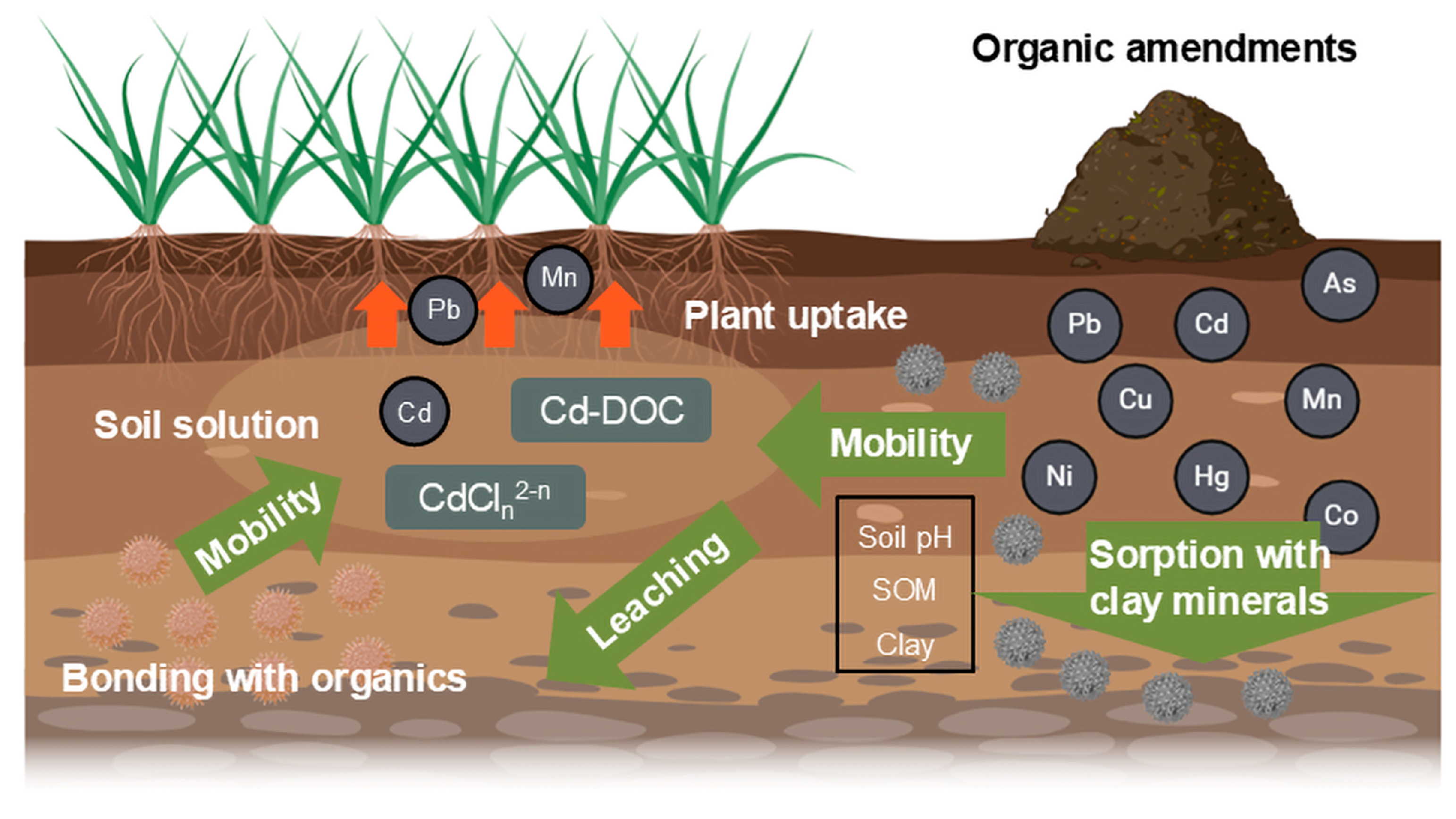 Agronomy 15 02705 g002
