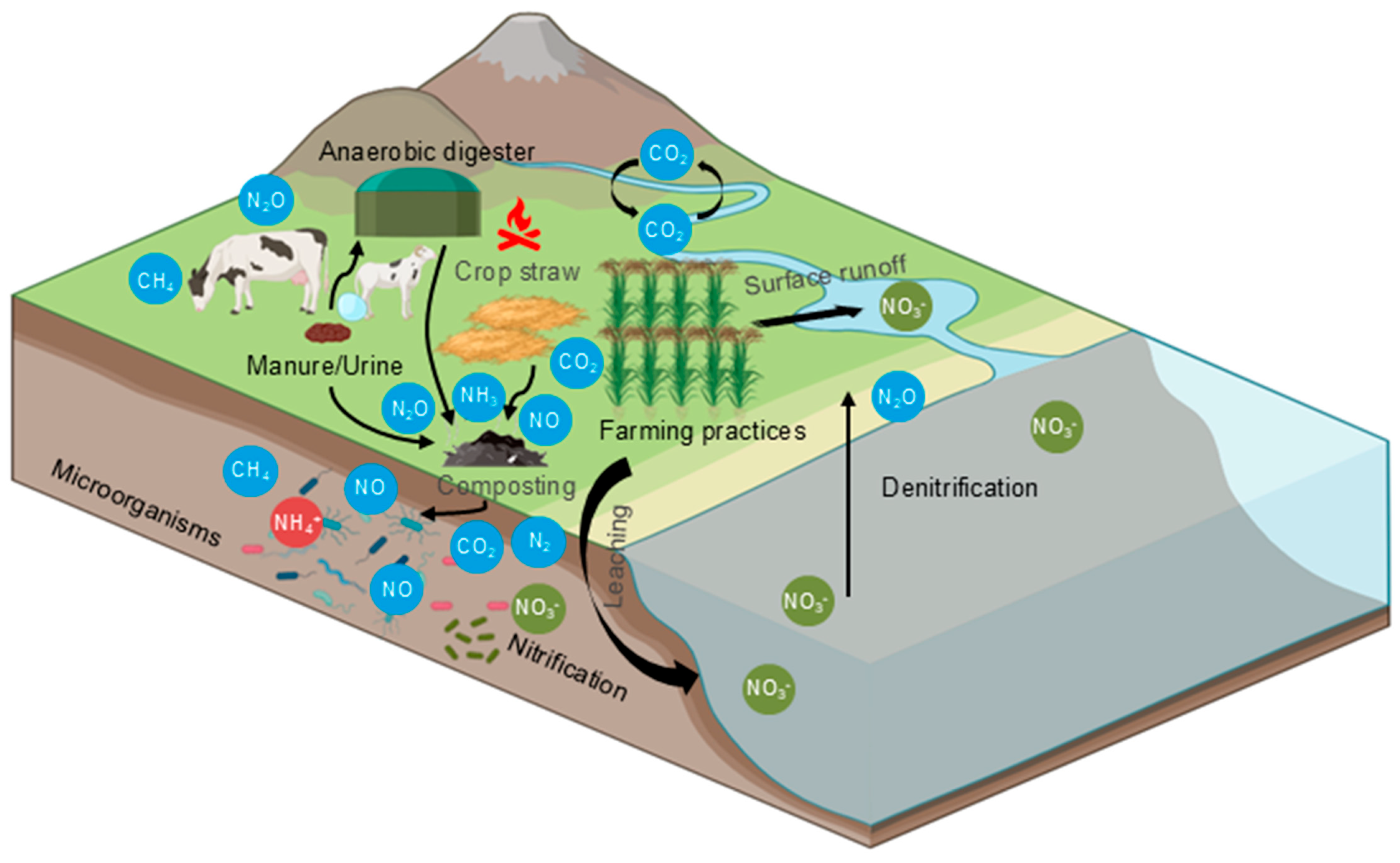 Agronomy 15 02705 g003