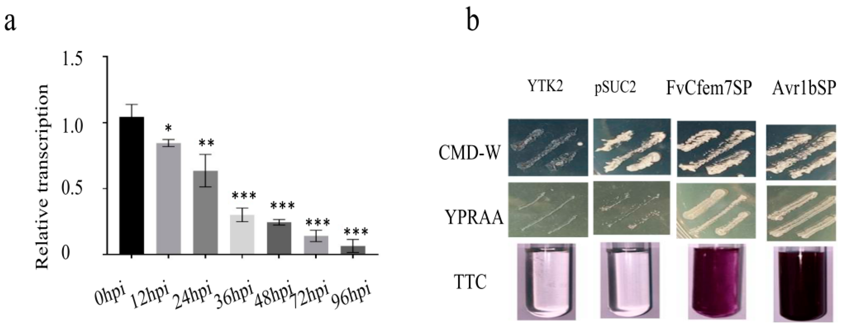 Agronomy 15 02706 g001
