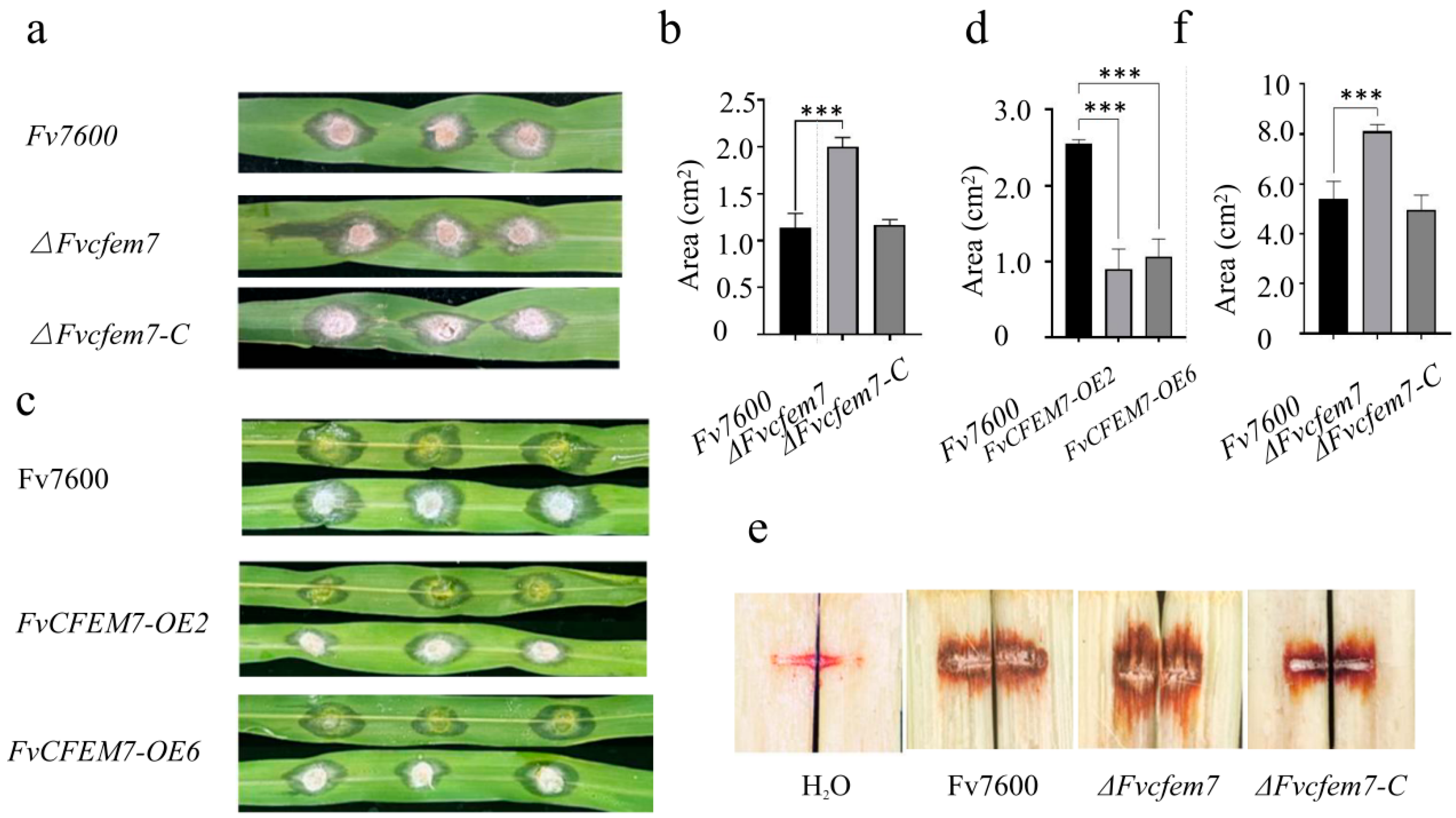 Agronomy 15 02706 g003
