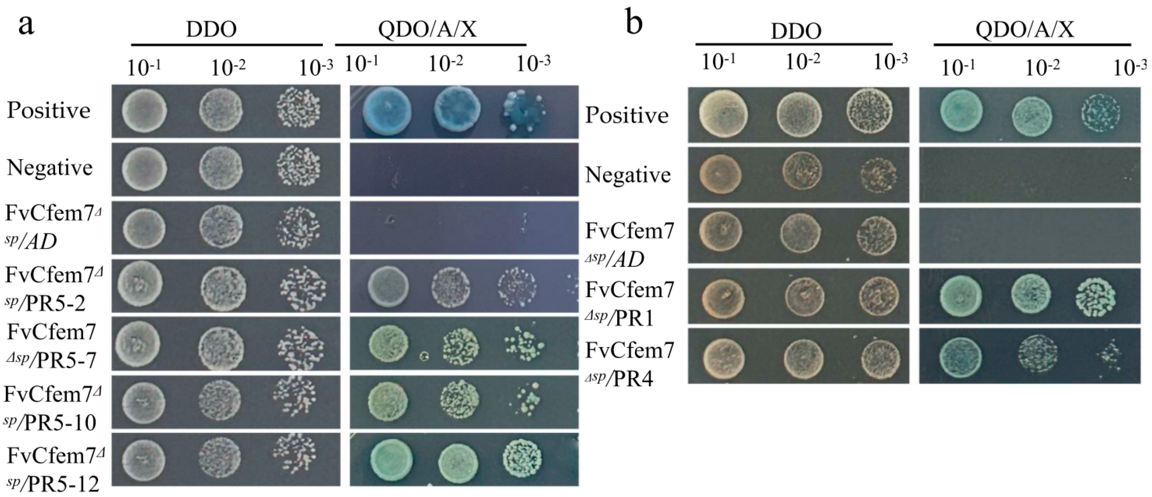 Agronomy 15 02706 g006