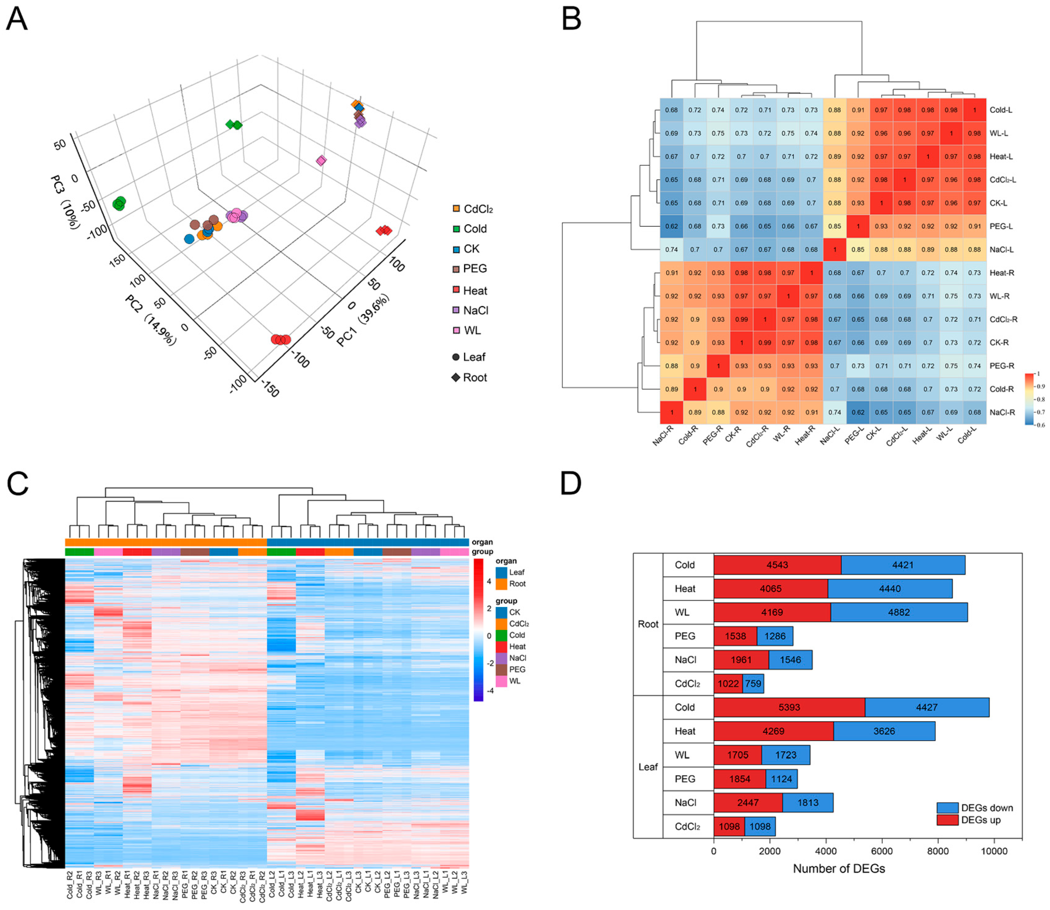 Agronomy 15 02707 g001