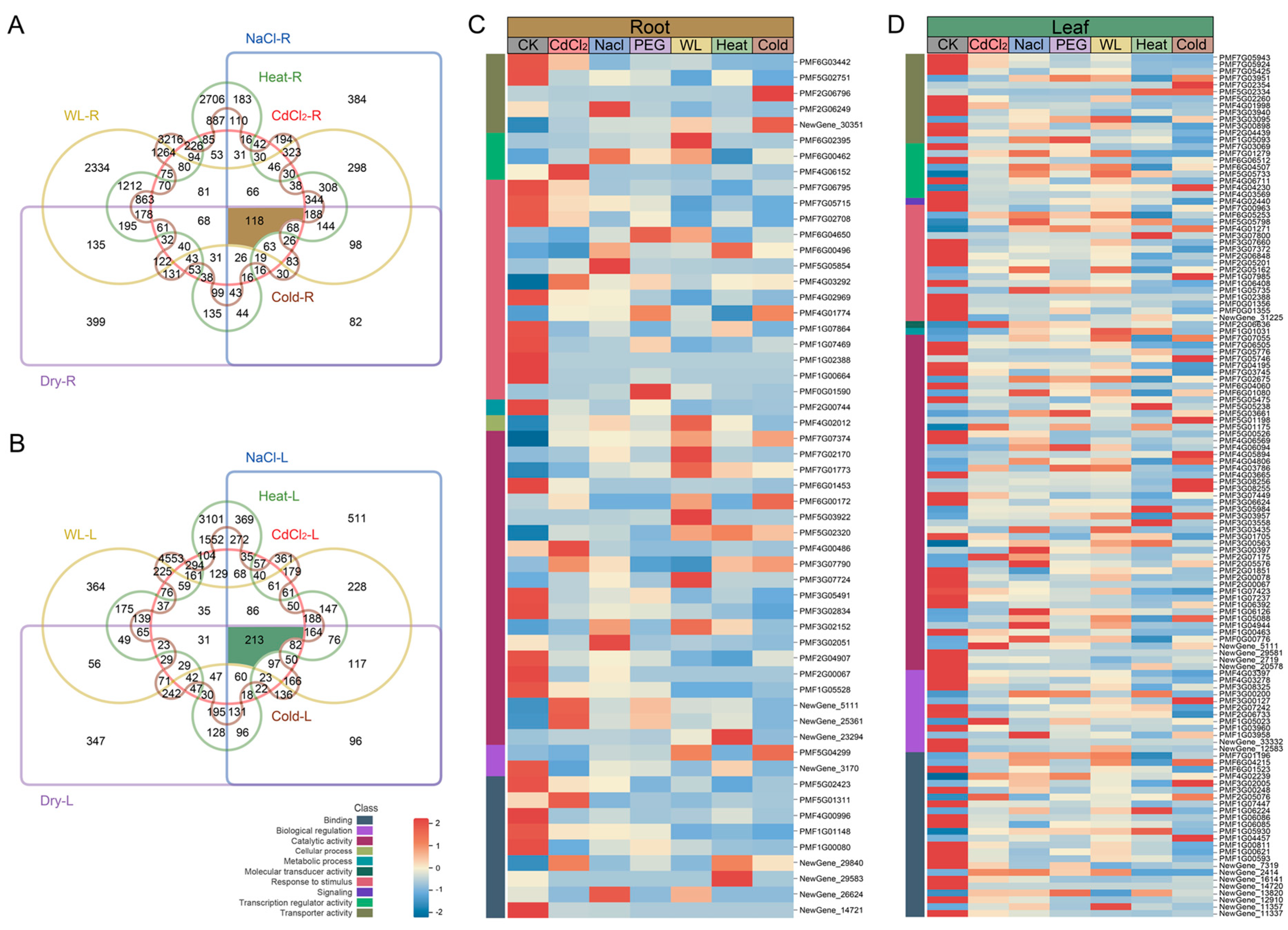 Agronomy 15 02707 g002