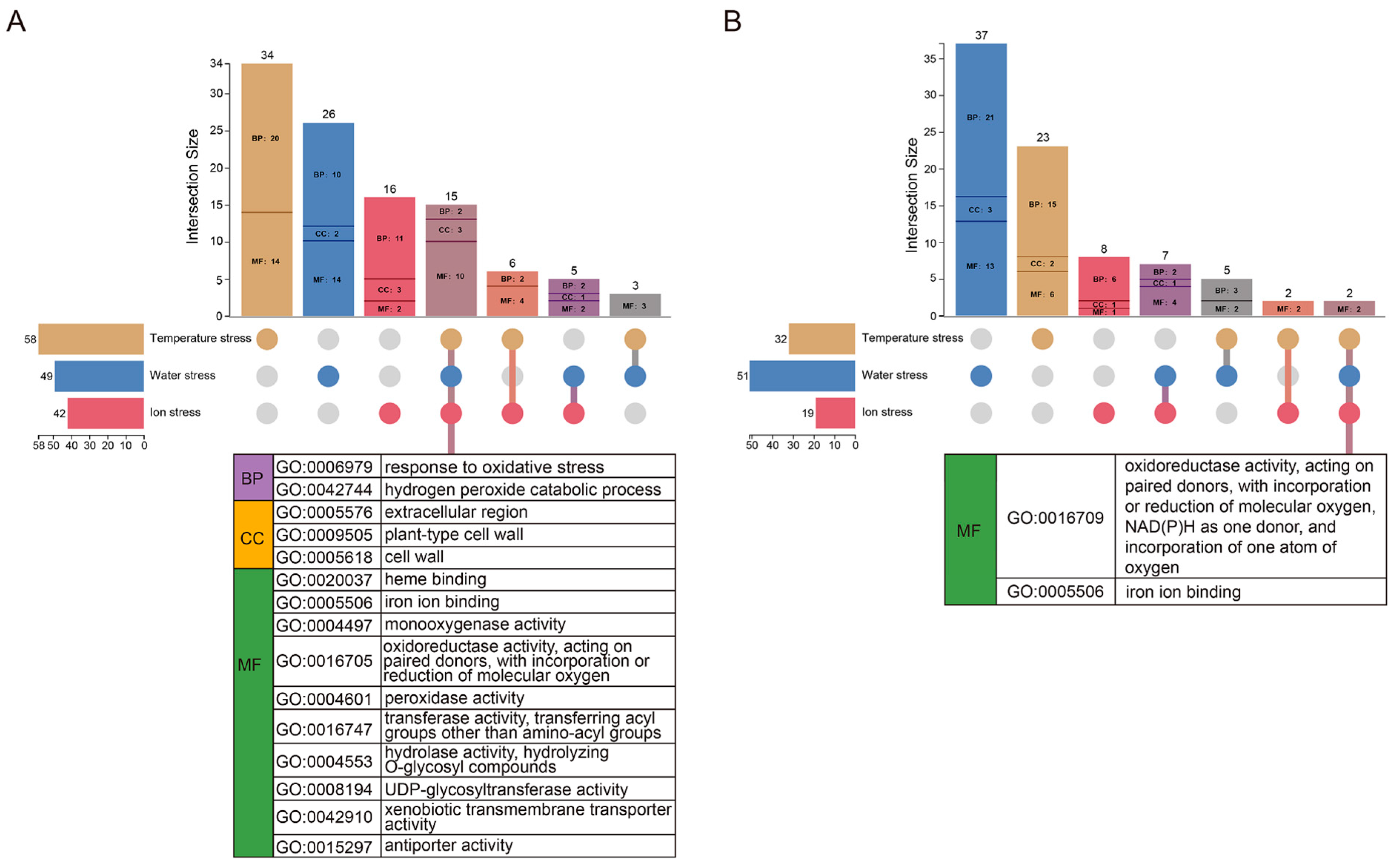 Agronomy 15 02707 g003