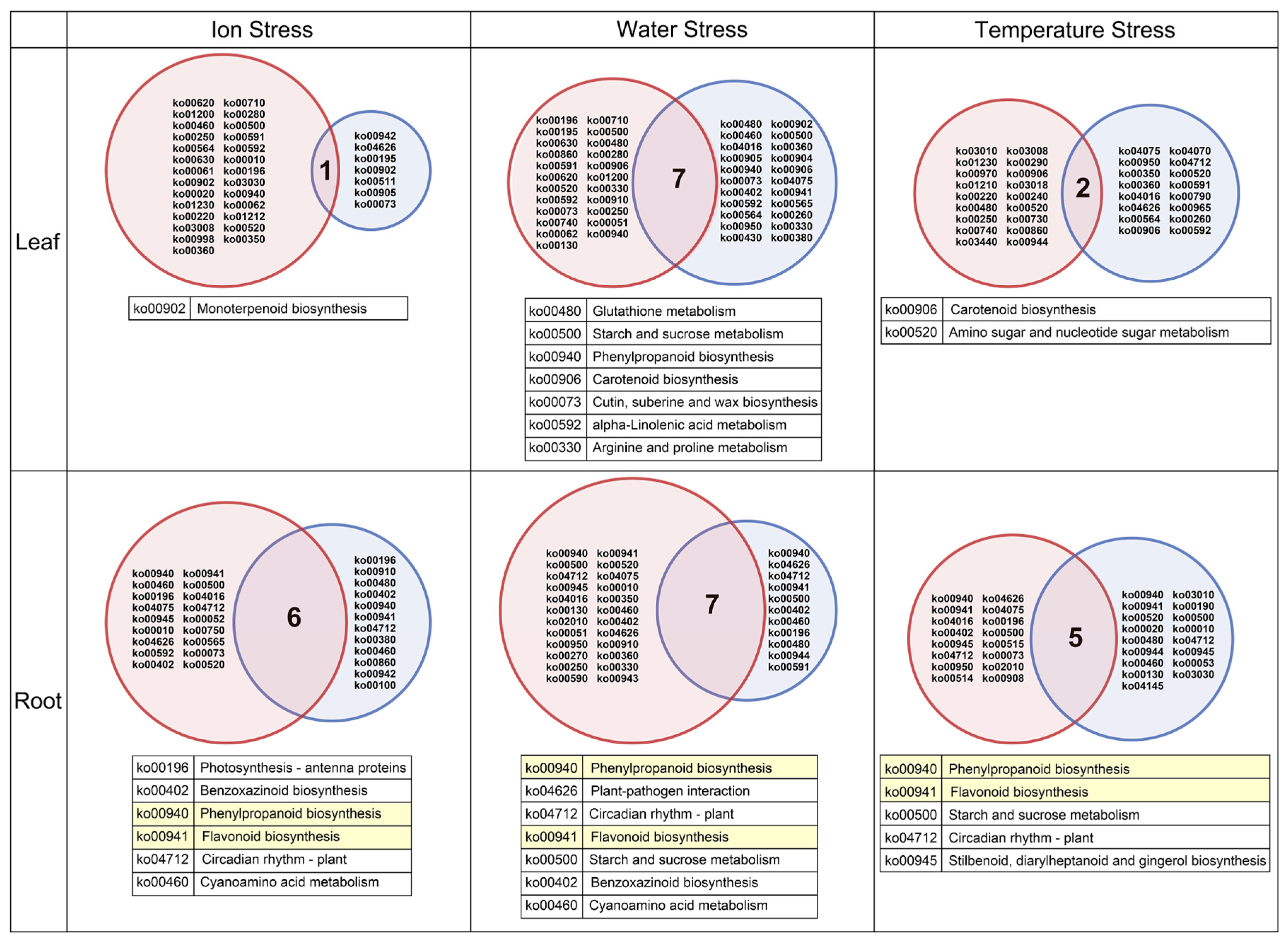 Agronomy 15 02707 g004