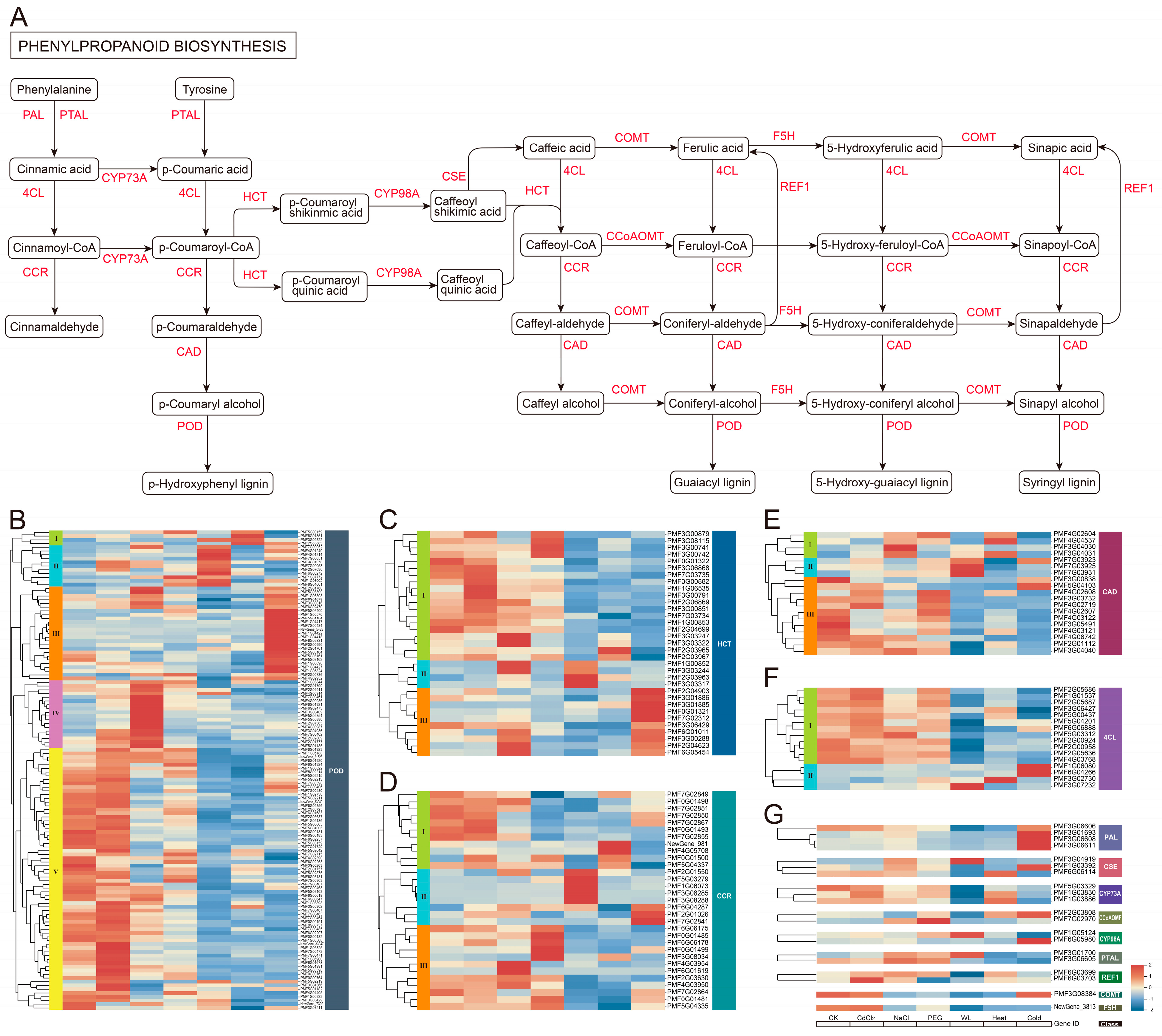 Agronomy 15 02707 g005