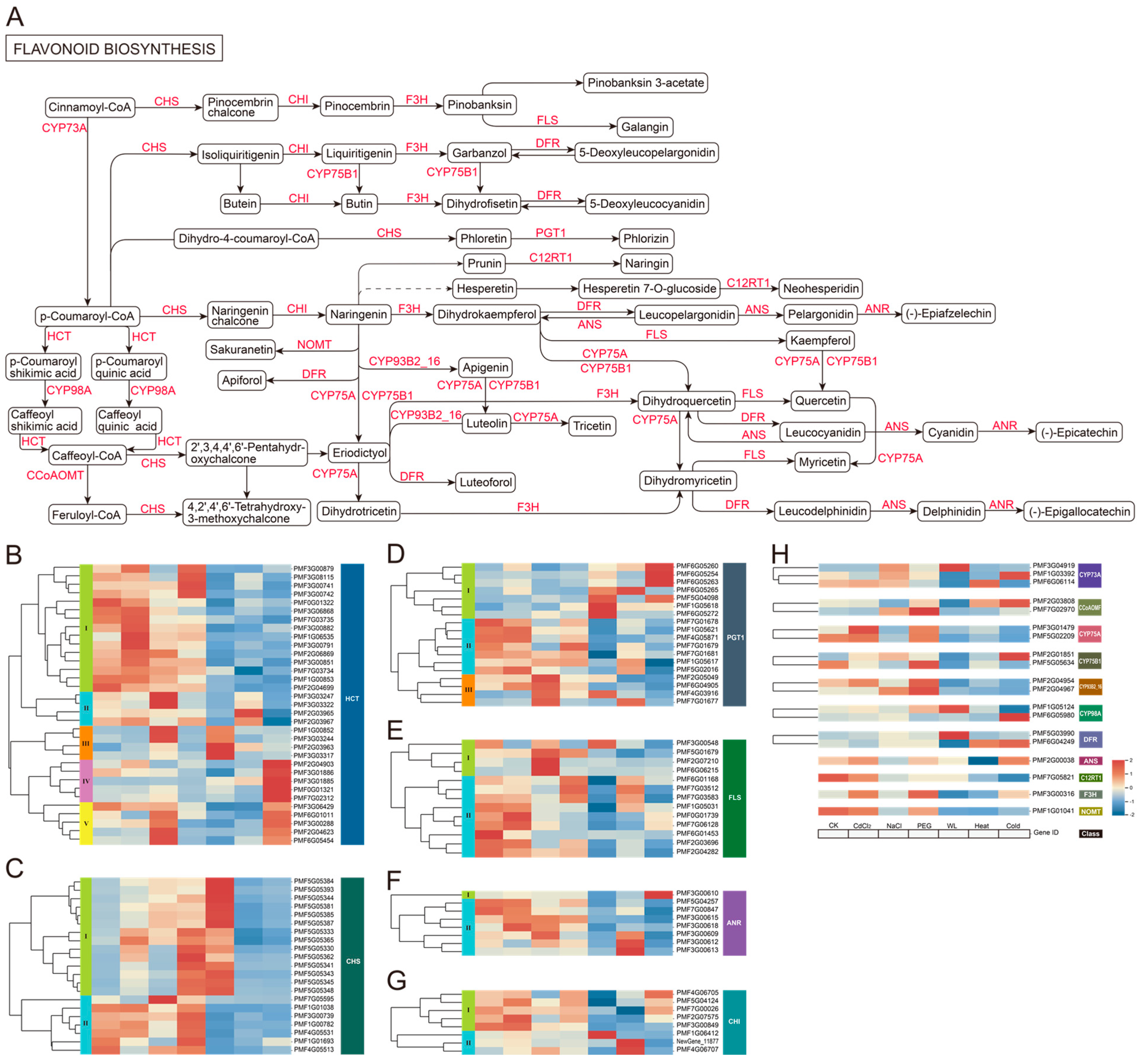 Agronomy 15 02707 g006
