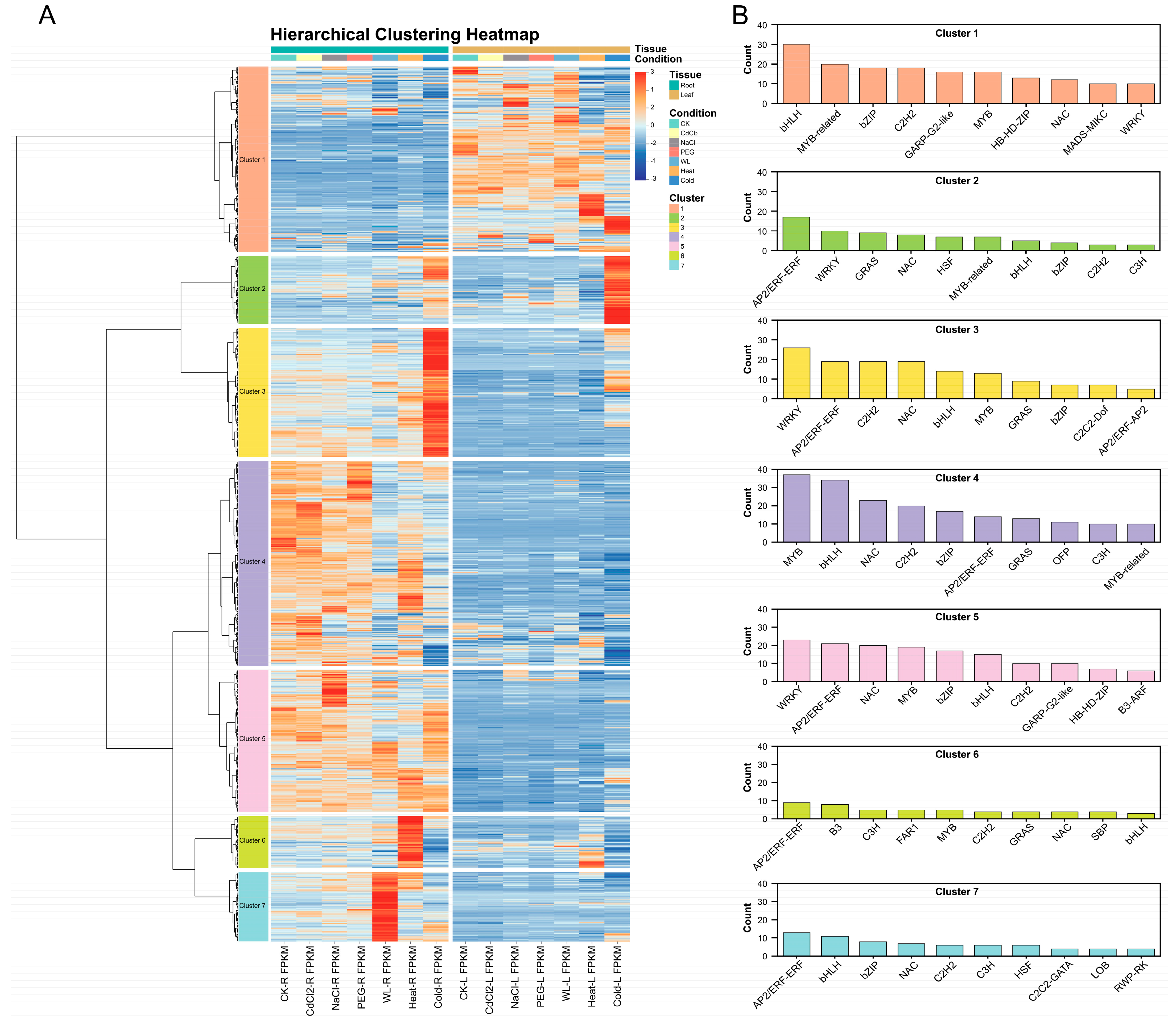 Agronomy 15 02707 g007