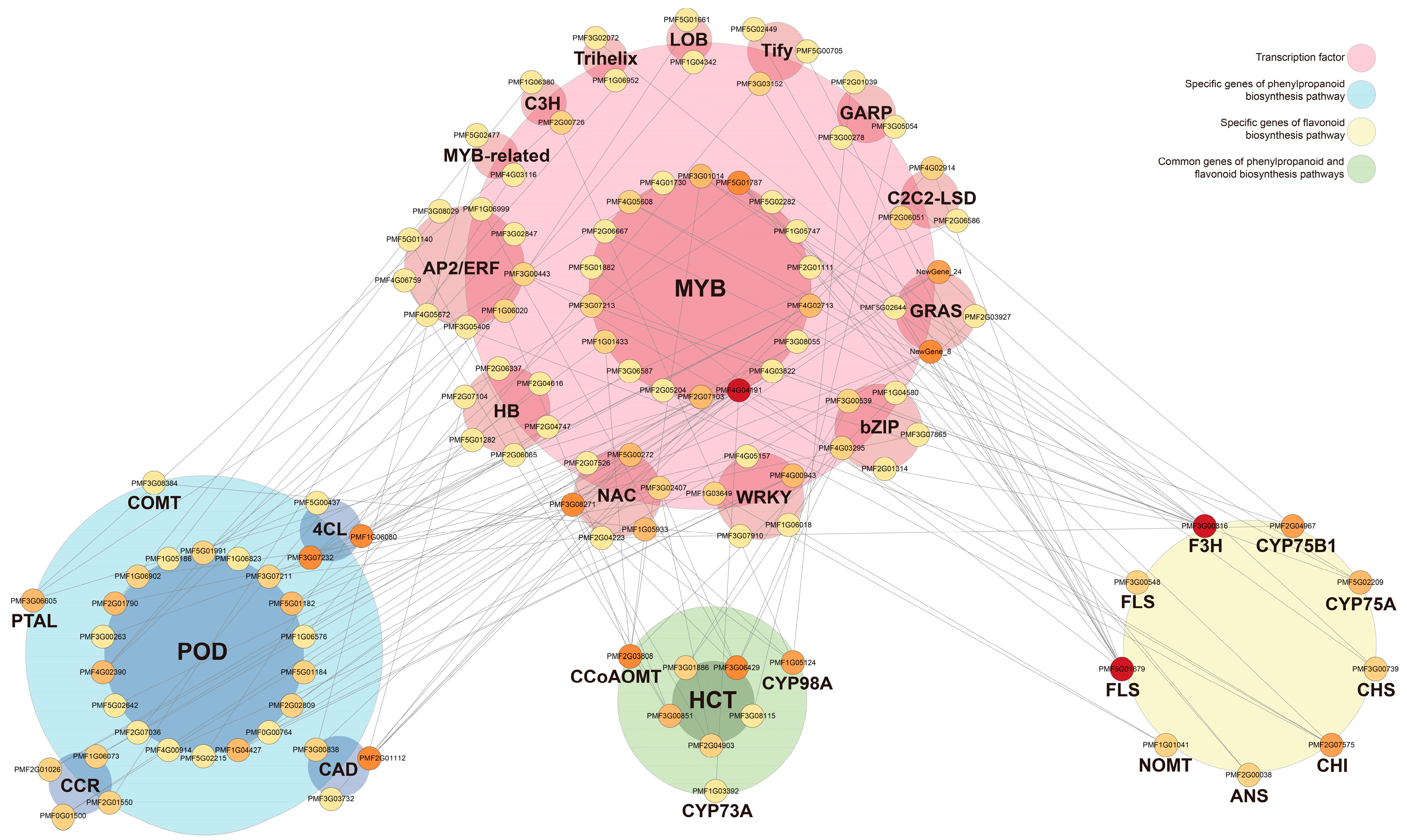 Agronomy 15 02707 g008