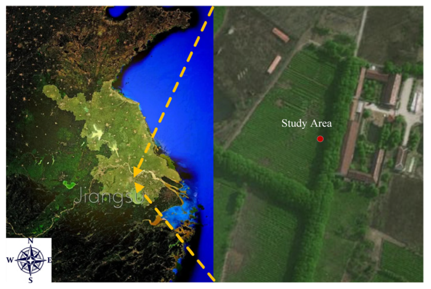 Agronomy 15 02708 g001