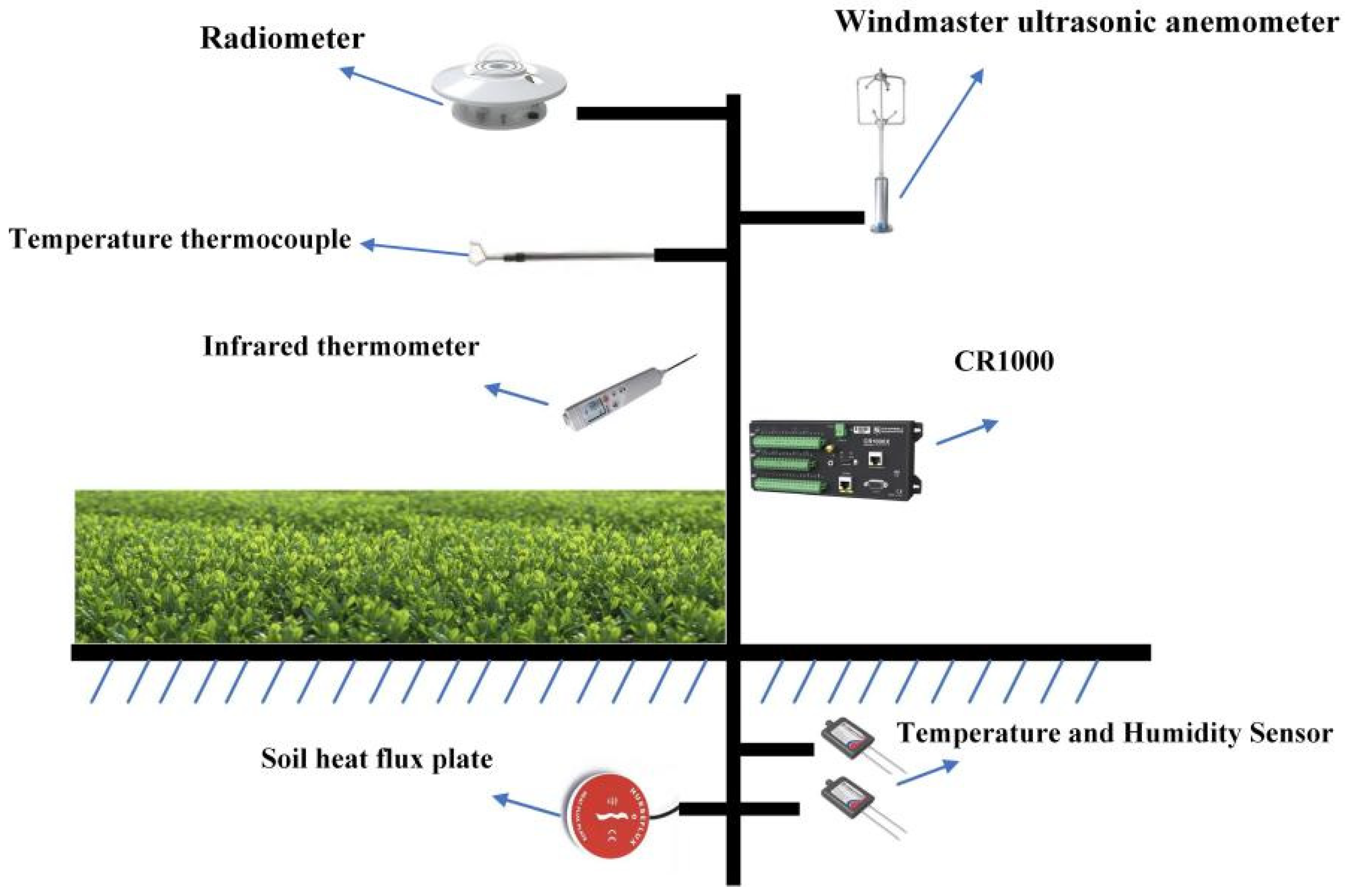 Agronomy 15 02708 g002