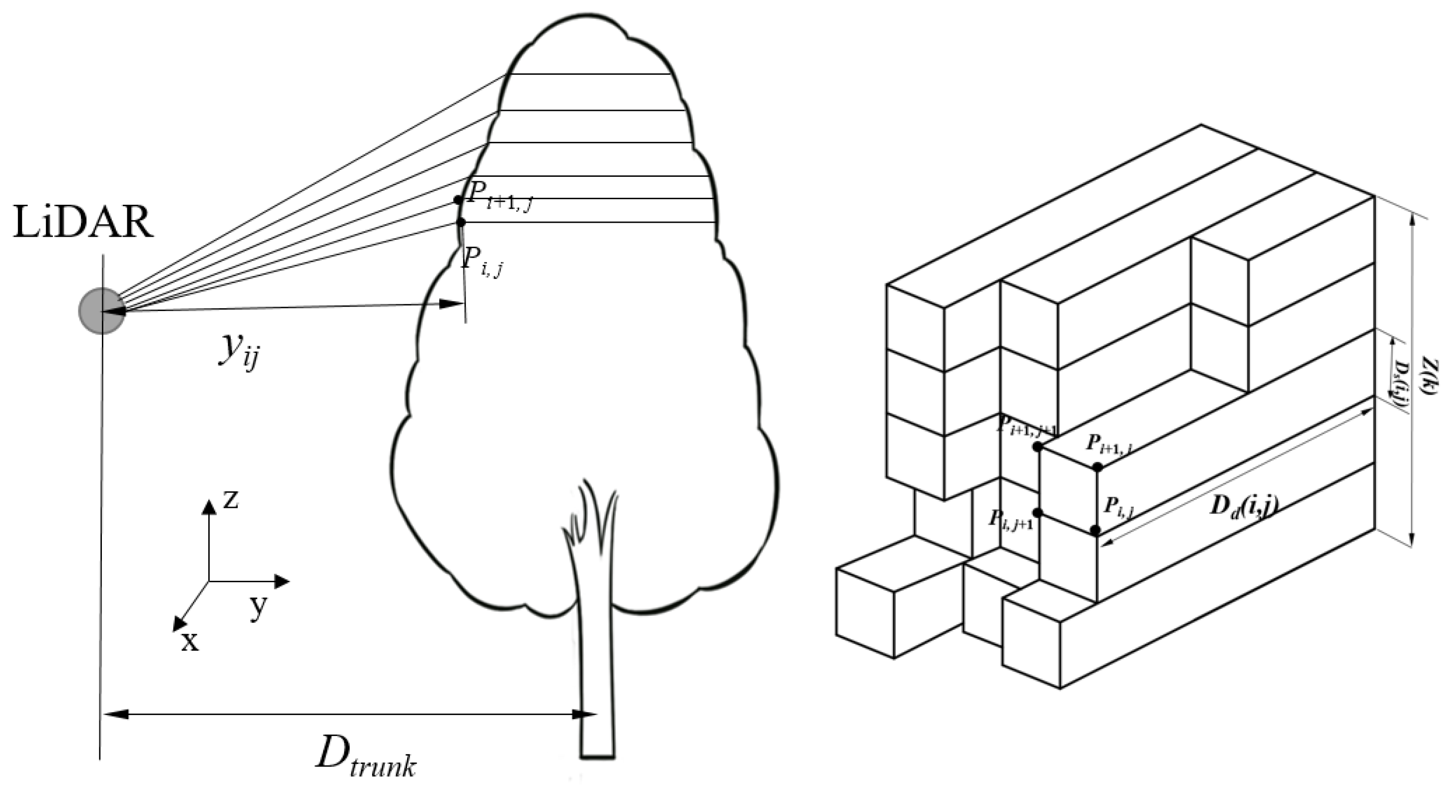 Agronomy 15 02709 g002