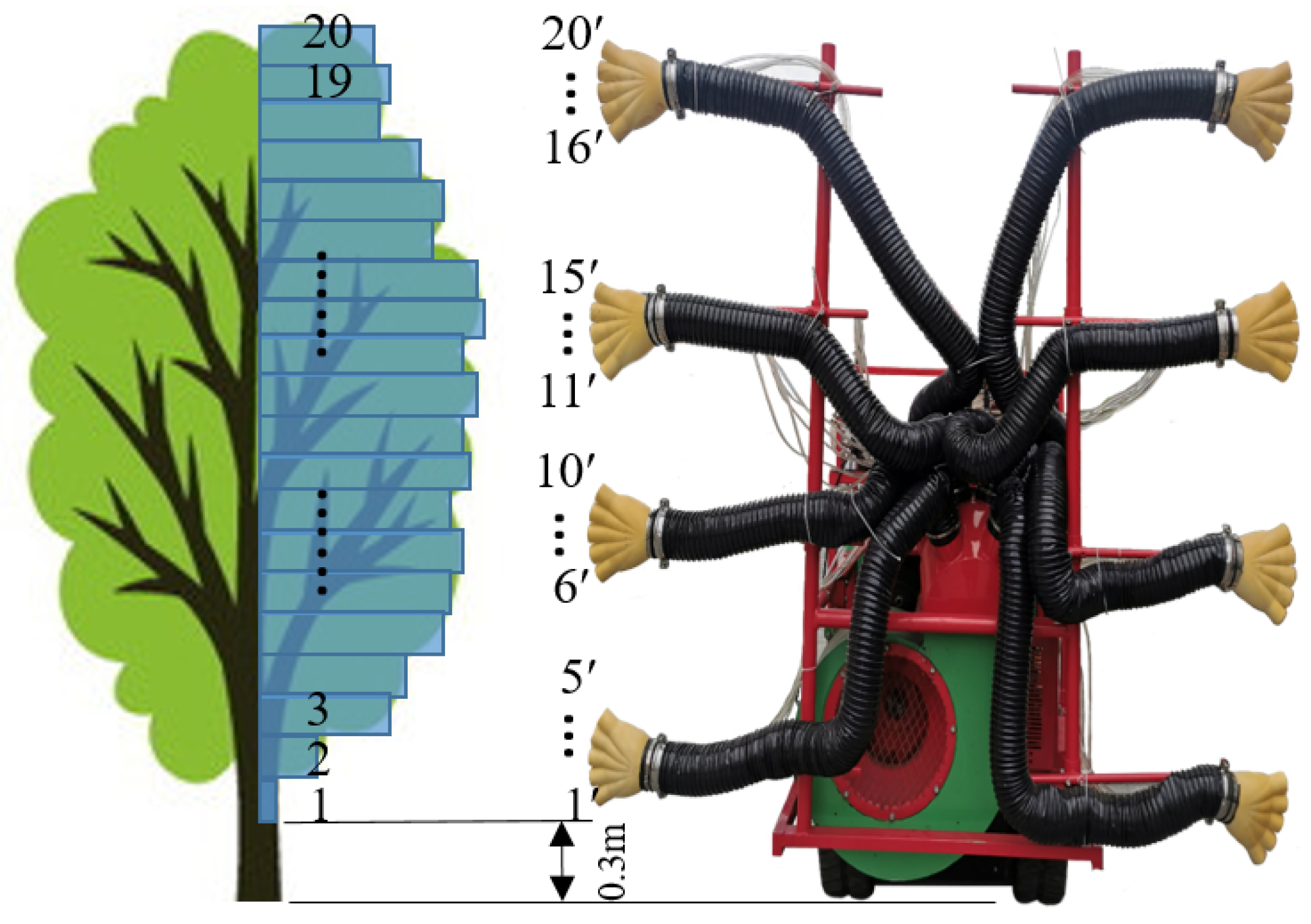 Agronomy 15 02709 g006
