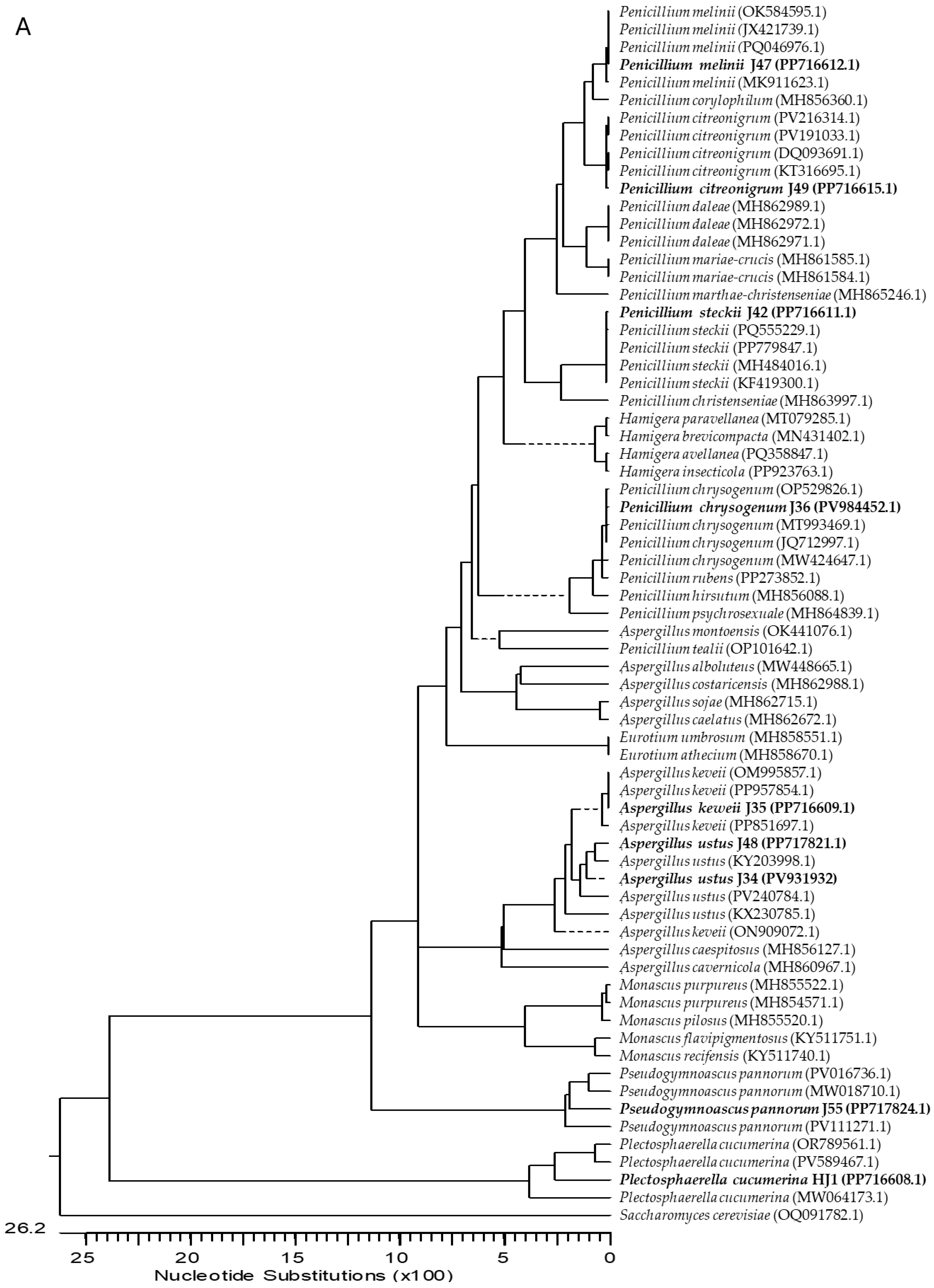 Agronomy 15 02711 g001a